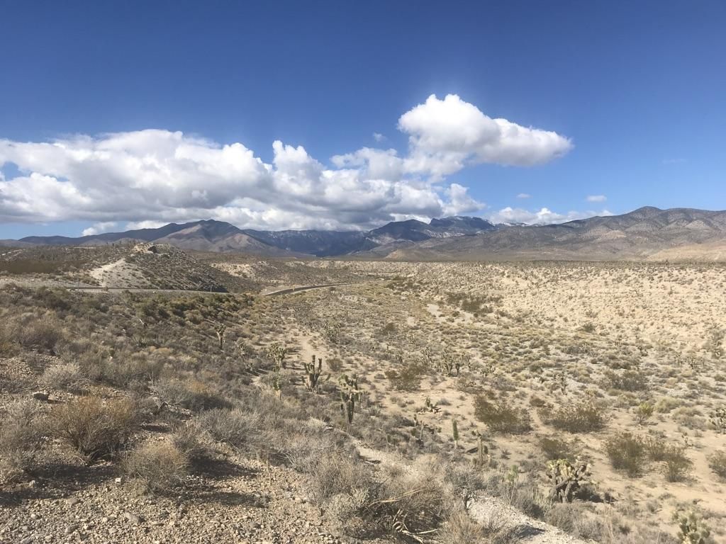Expansive desert with cacti and distant mountains under a bright, cloudy sky. - Twilight Loop Trail