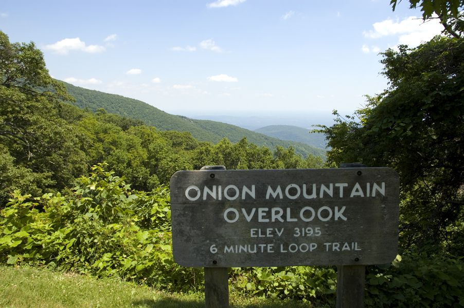 Weathered wooden sign in front of a sunny, green mountain landscape. - James River to Abbott Lake loop