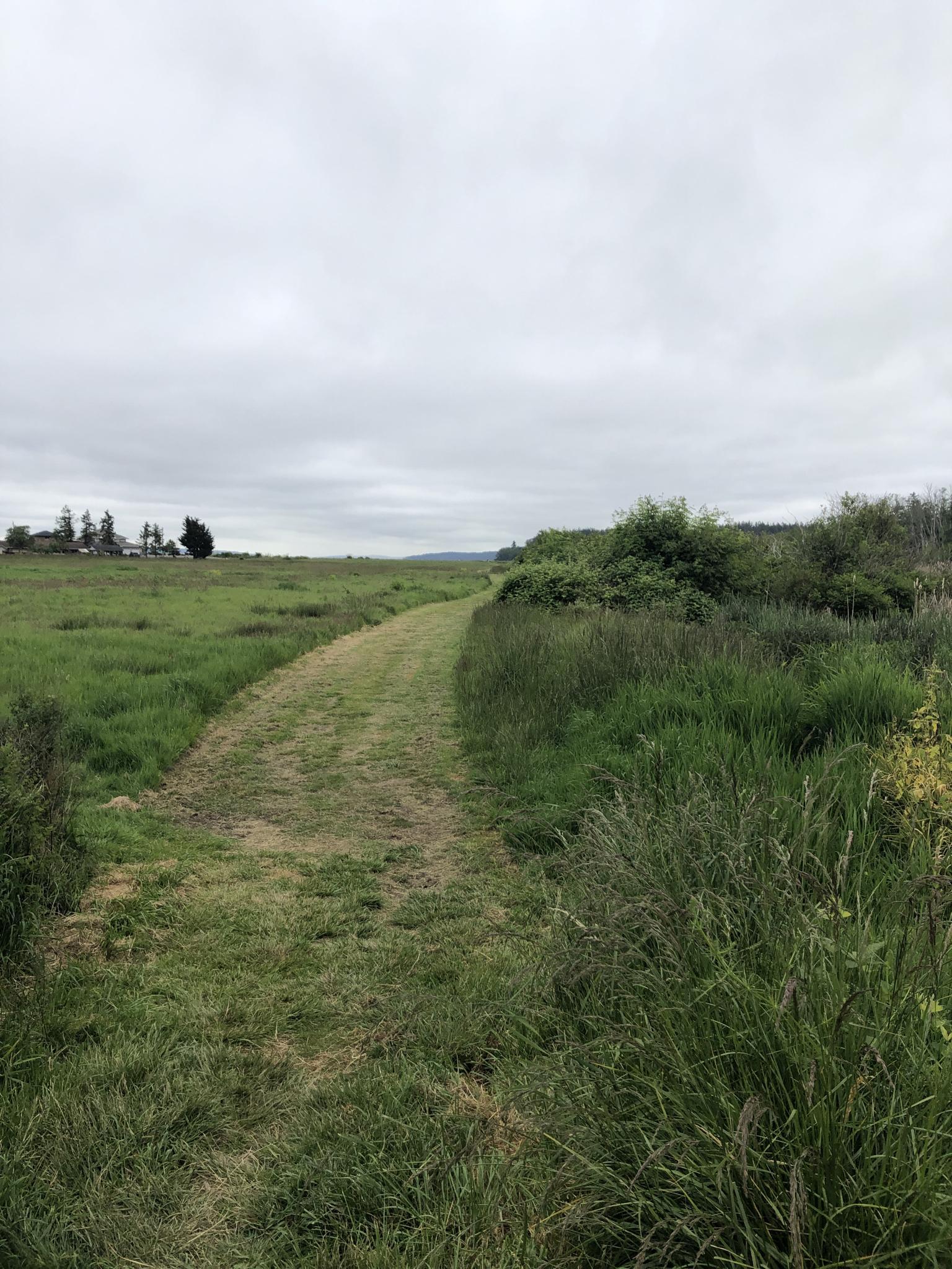 Narrow grassy path through green fields under an overcast sky.