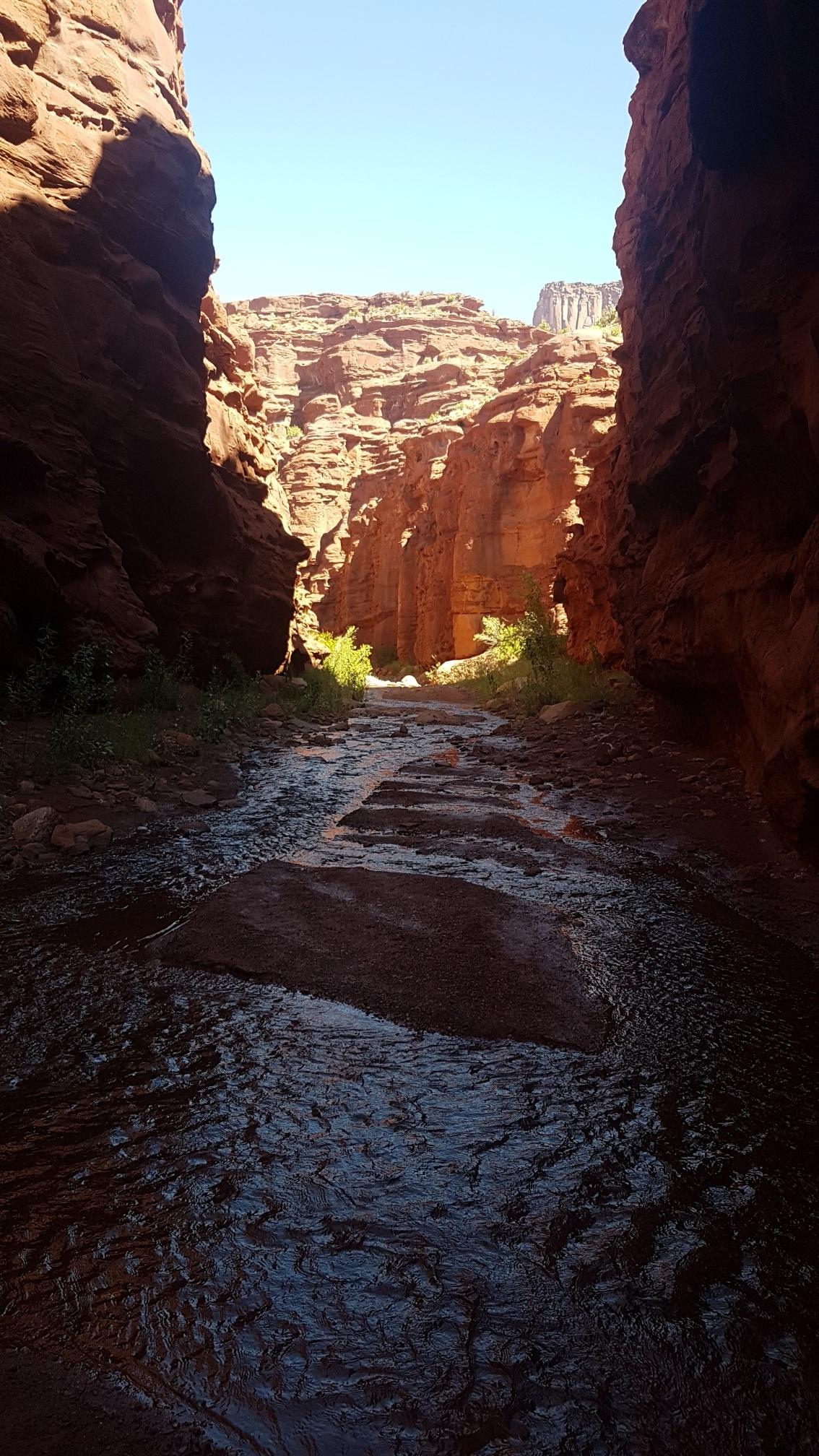 Dark canyon with a shallow stream, light at the distant opening.