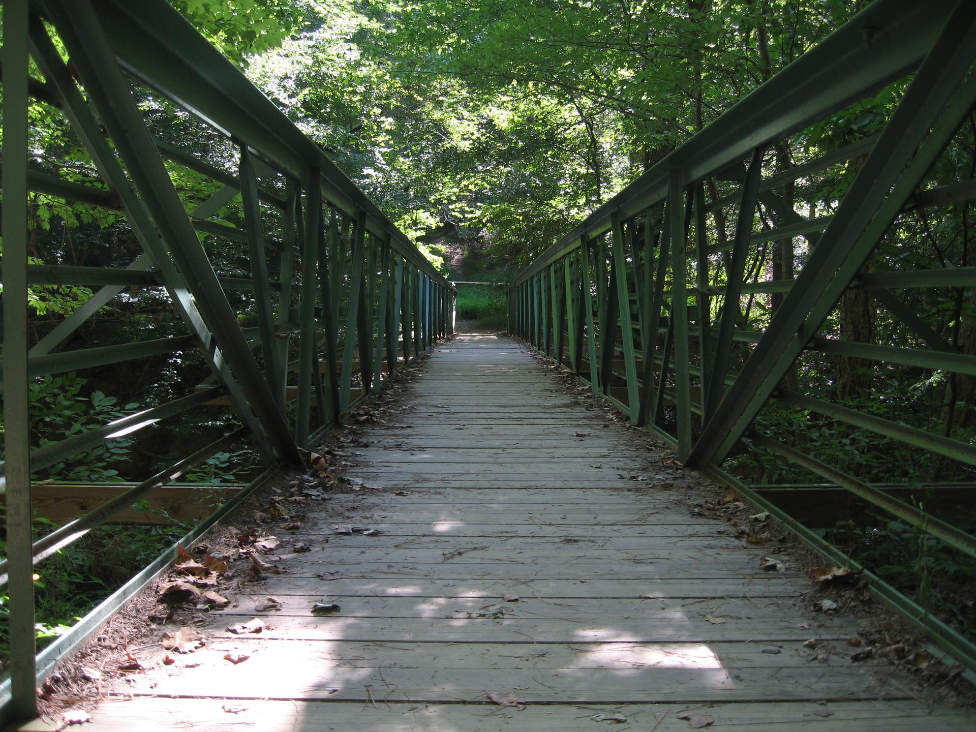 A green metal and wood bridge extends through a sun-dappled forest.