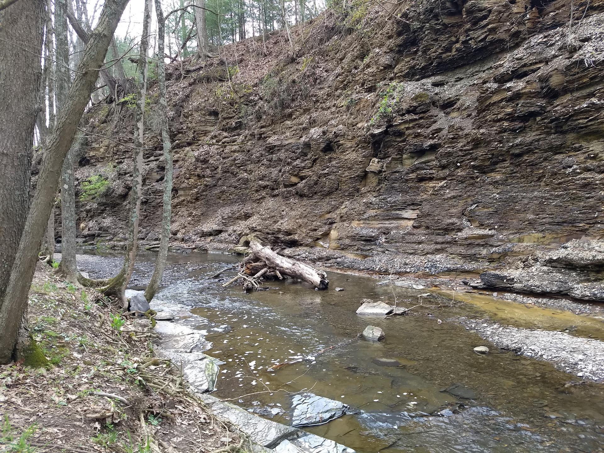 A stream flows past a rocky cliff and wooded bank with a fallen log.