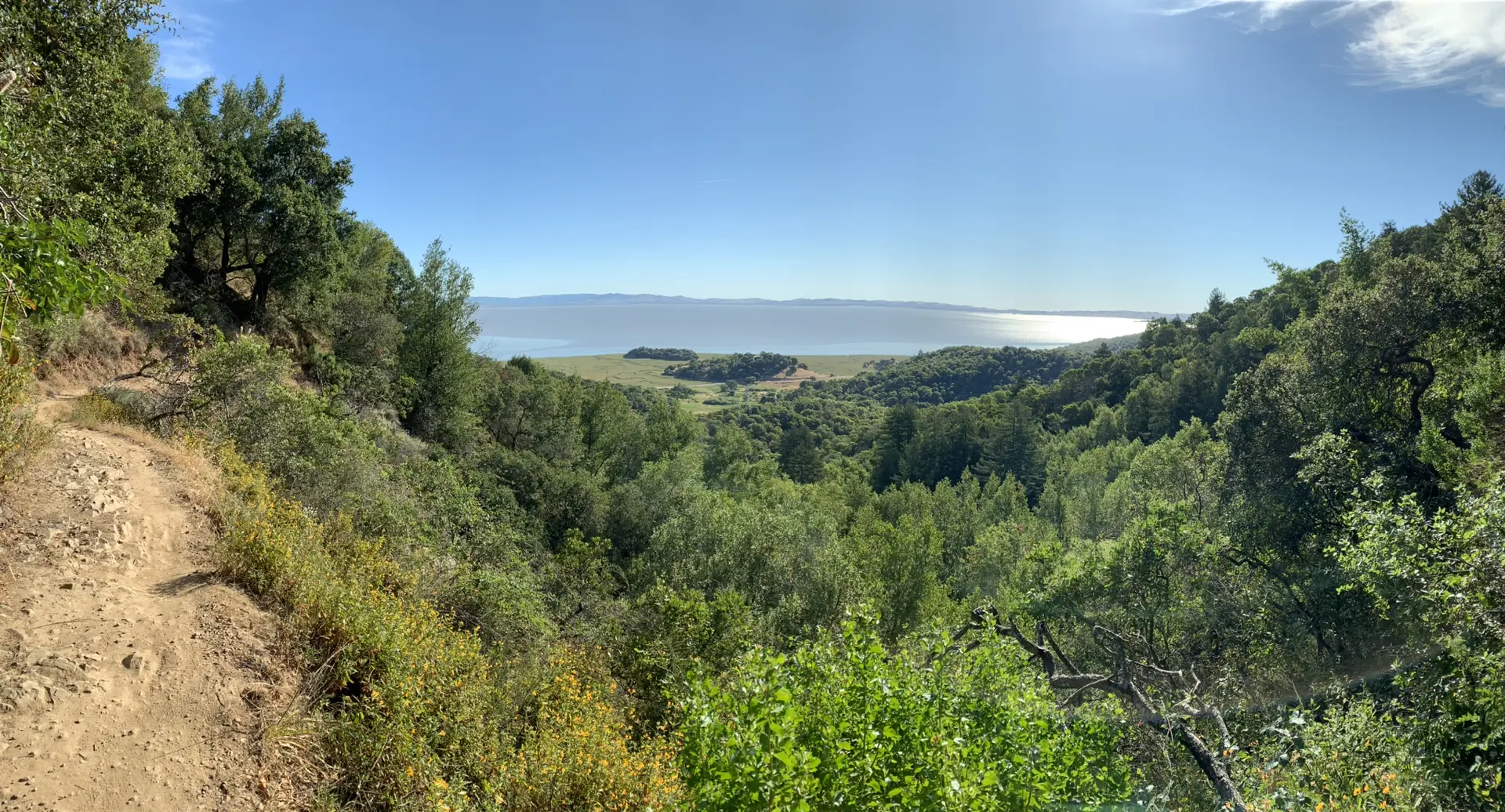 Dirt trail winding through green forest, overlooking distant water and hills.
