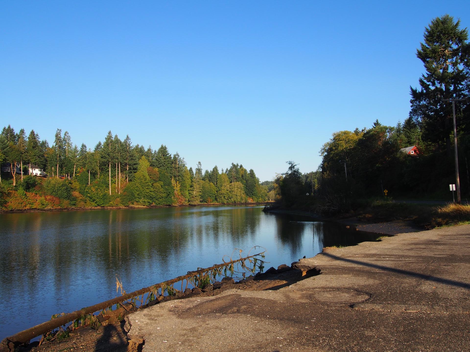 Calm river bordered by dense green forests under a bright blue sky.