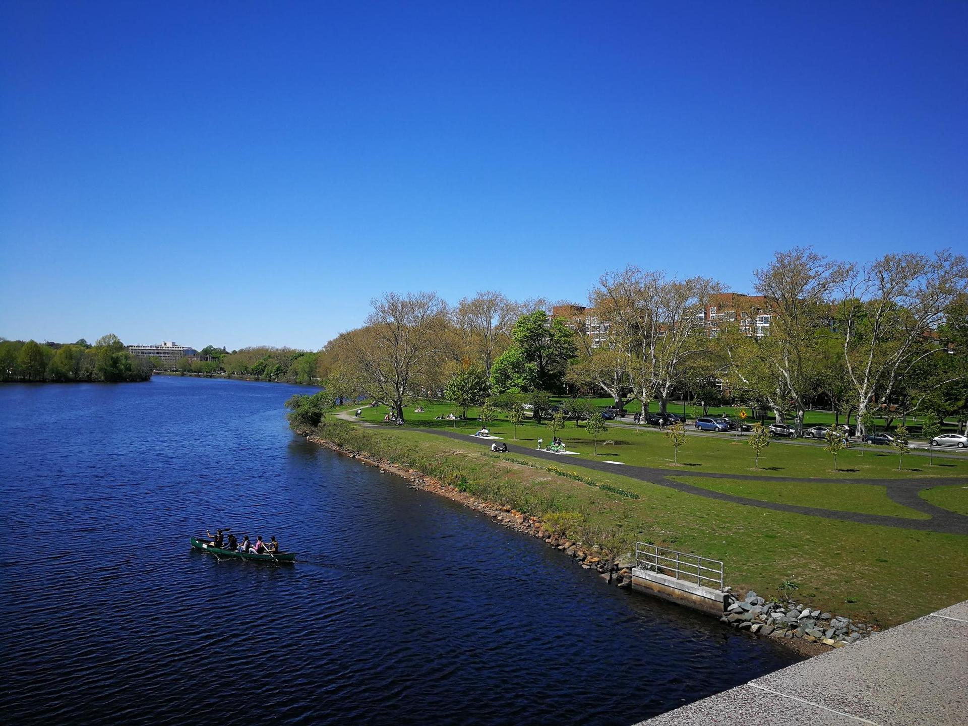A group of people row a boat on a wide river next to a green park. Bright day.