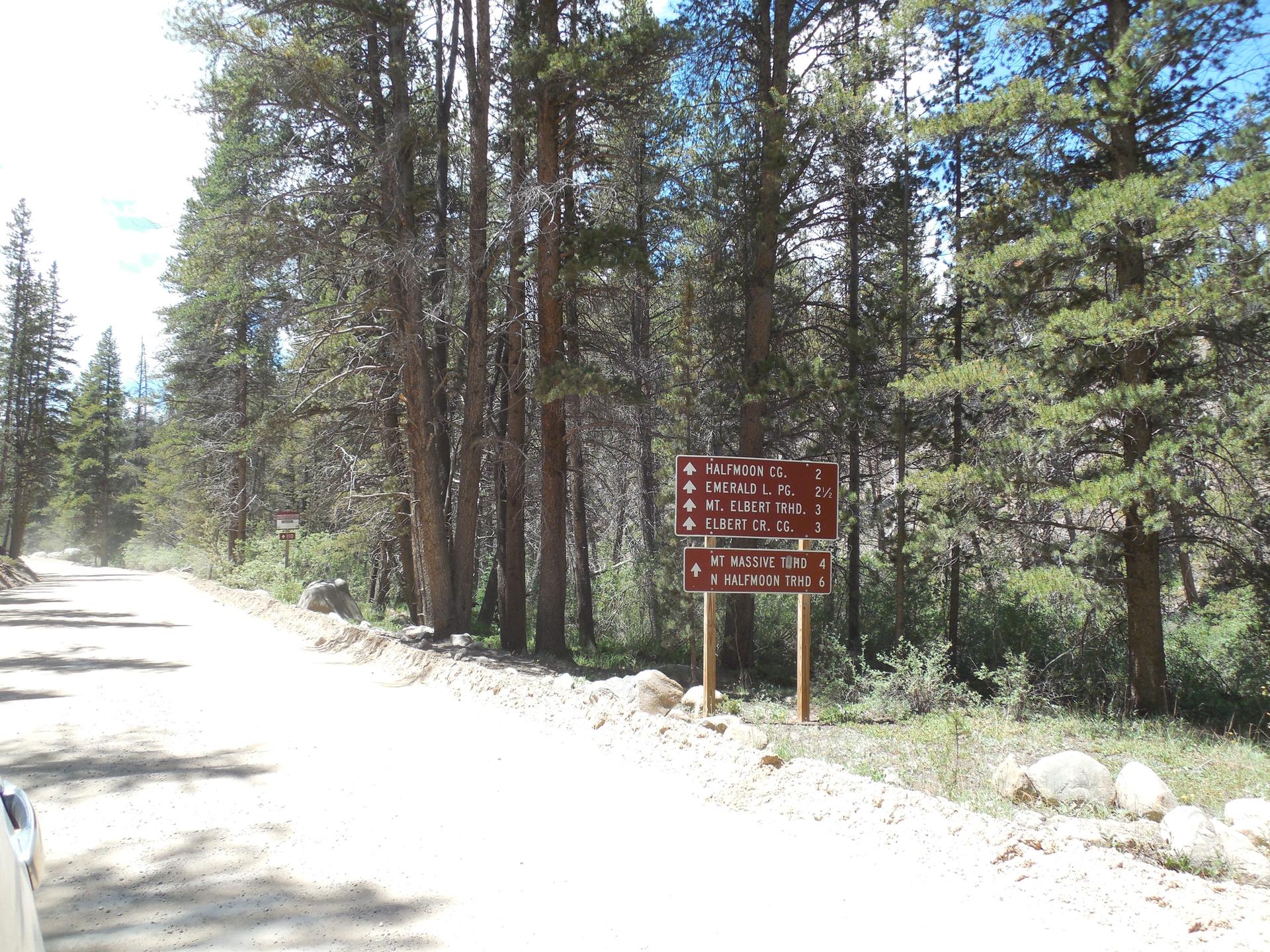 Dirt road through a pine forest with a brown trail sign.