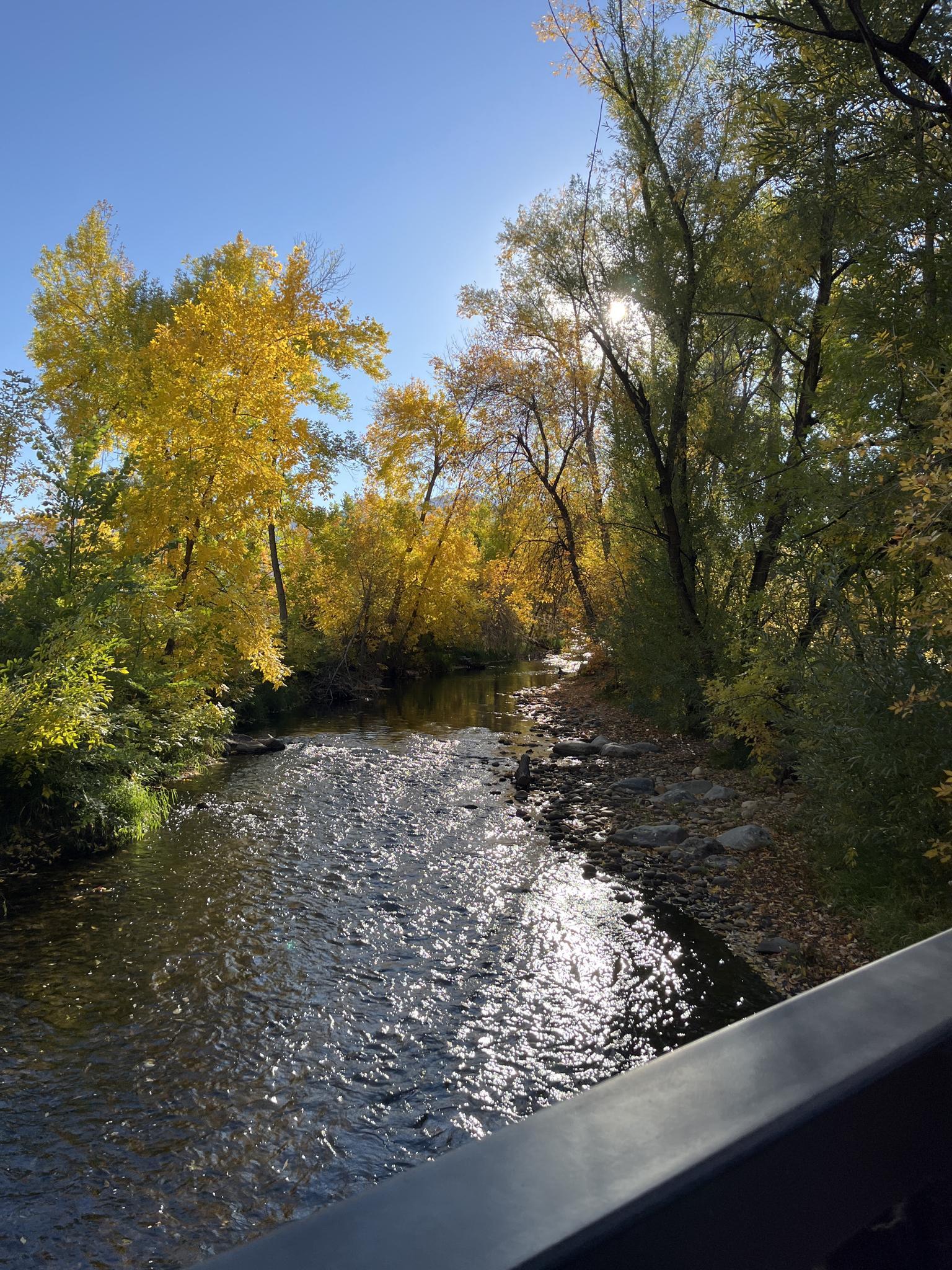 River flowing through bright autumn trees with sun glare on the water.