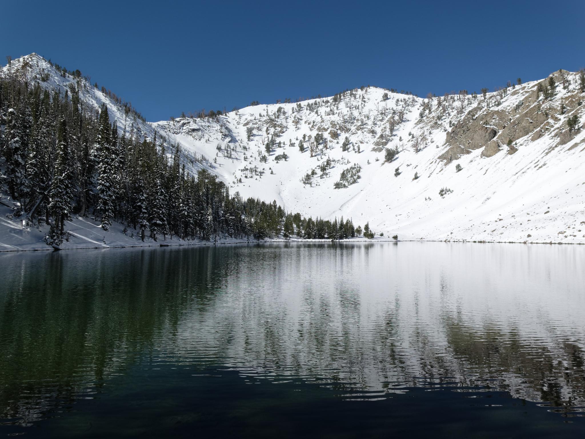 Wide view of a calm lake reflecting snow-covered mountains and pine trees.