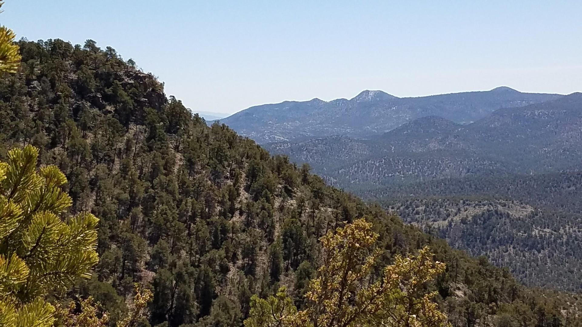 Steep, pine-covered mountains stretch into the distance under bright daylight.
