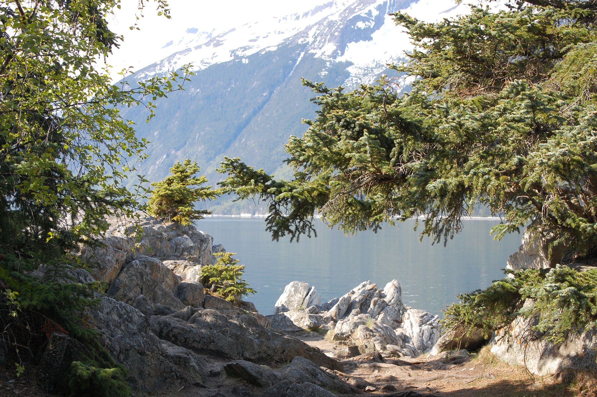View through green trees and rocks to a lake and snowy mountains. - Yakutania Point and Smuggler's Cove Trail
