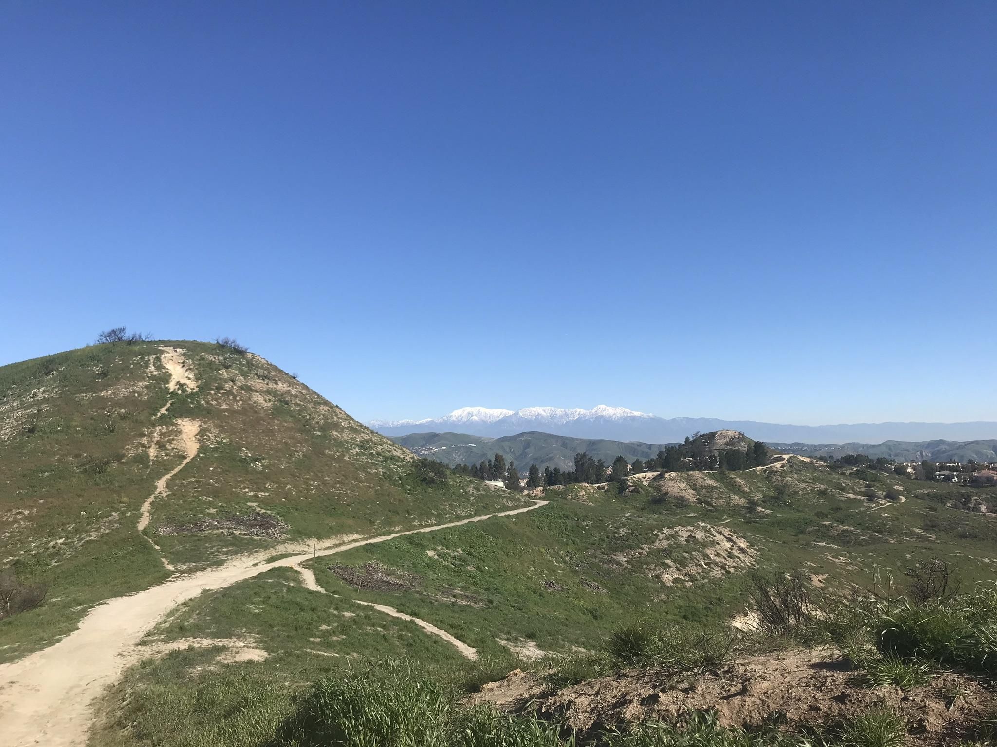 A dirt trail winds up a grassy hill under a clear blue sky. - Weir Canyon Trail Loop