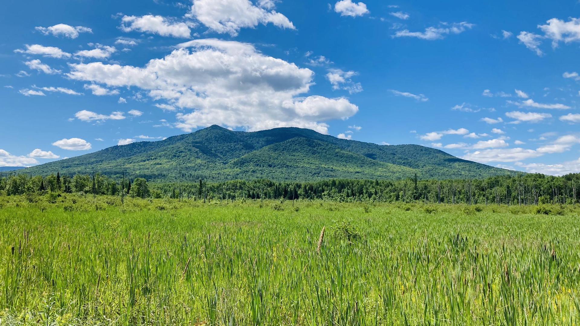 Forested mountain overlooks a bright green field under a sunny, cloudy sky.