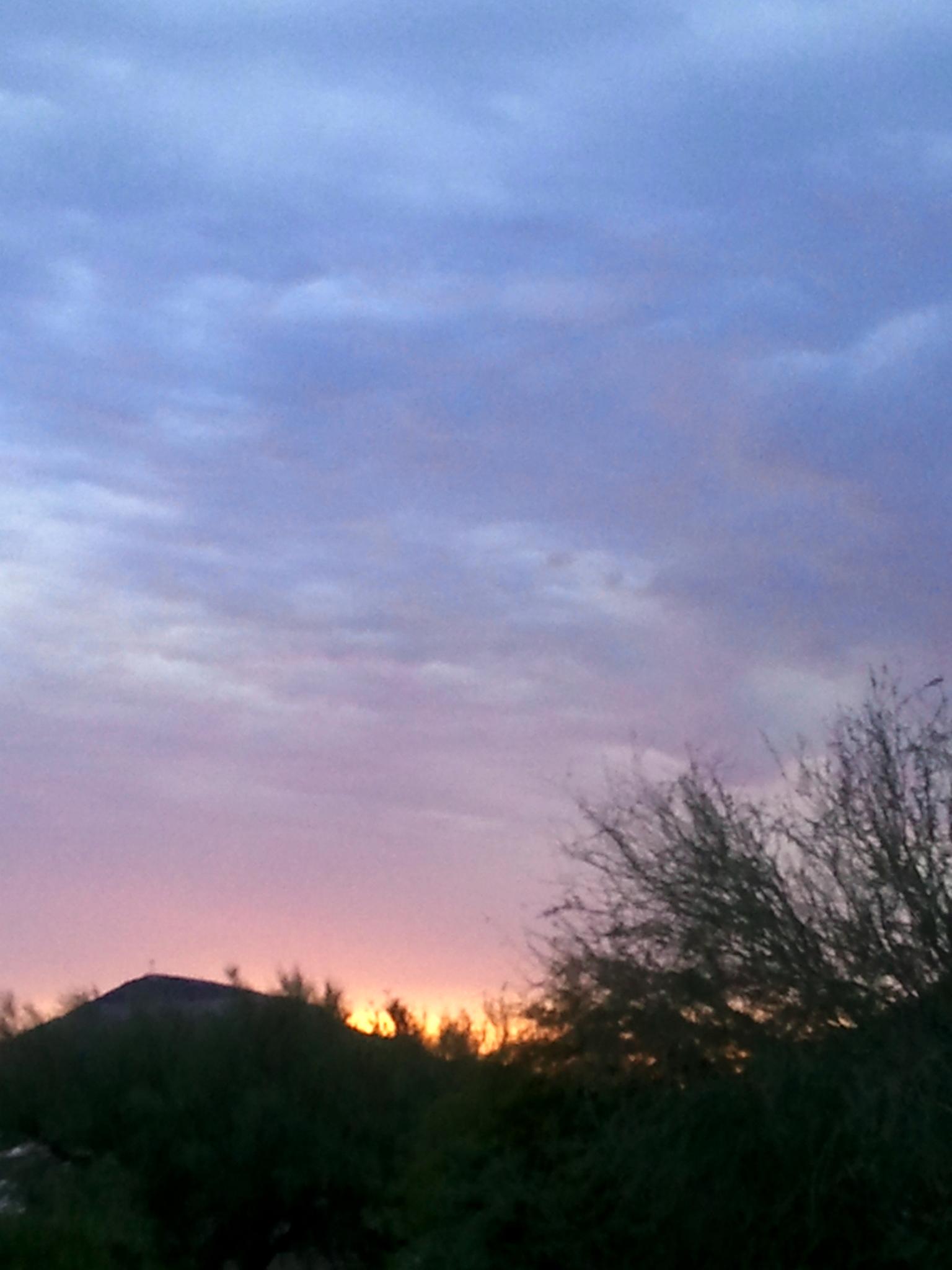 A vibrant sunset with orange and purple clouds over dark silhouetted bushes.