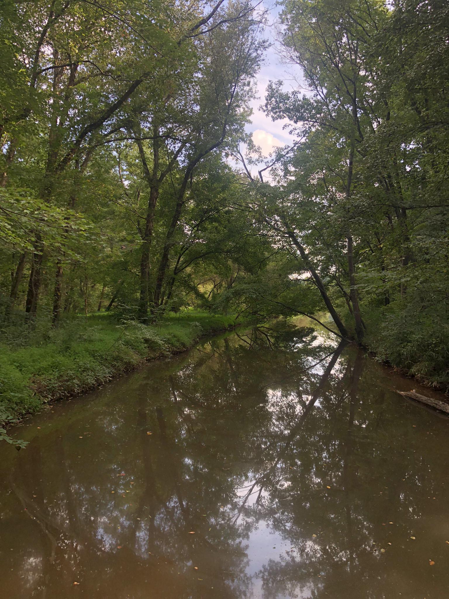 A narrow, calm river reflecting dense green forest trees.