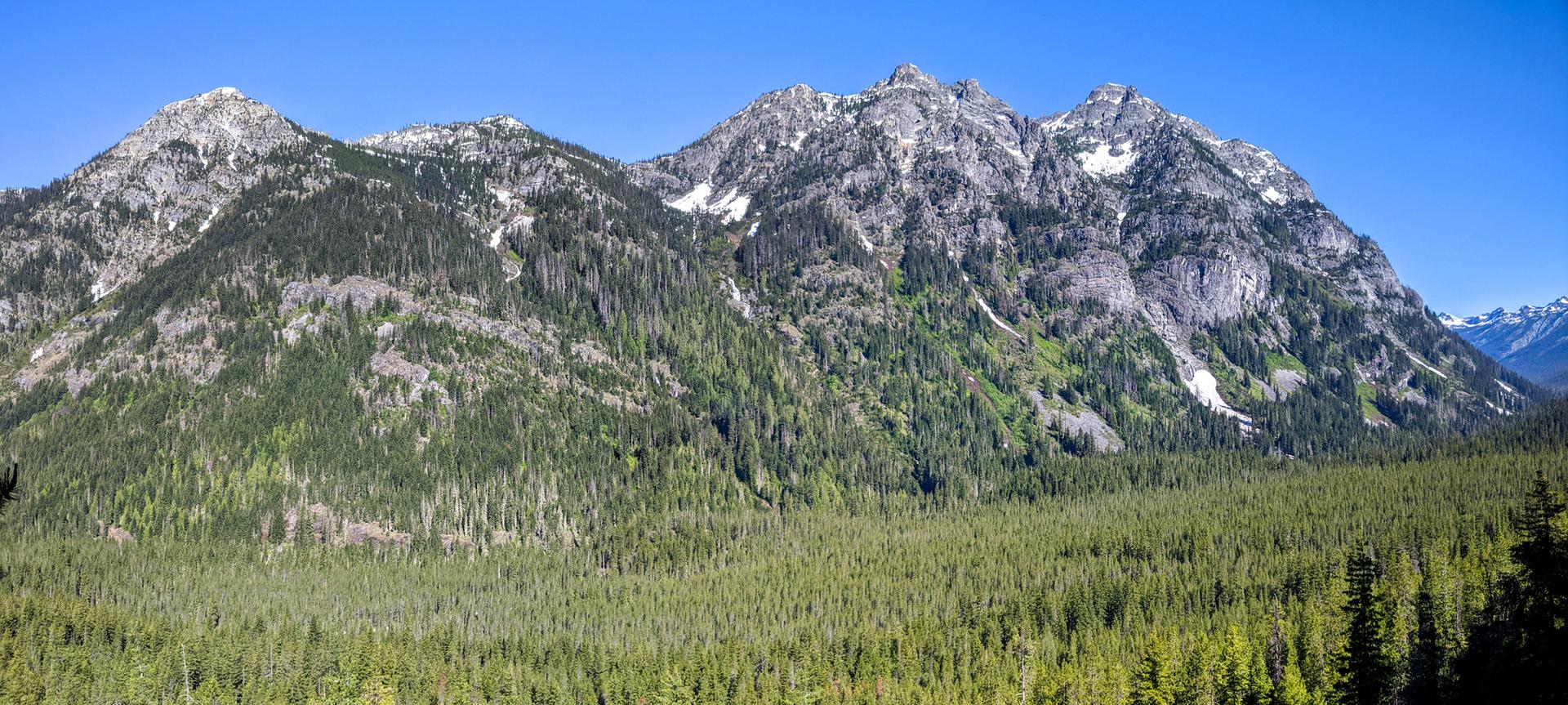 Rugged, snow-dusted mountains rise above a dense green forest under a clear sky.