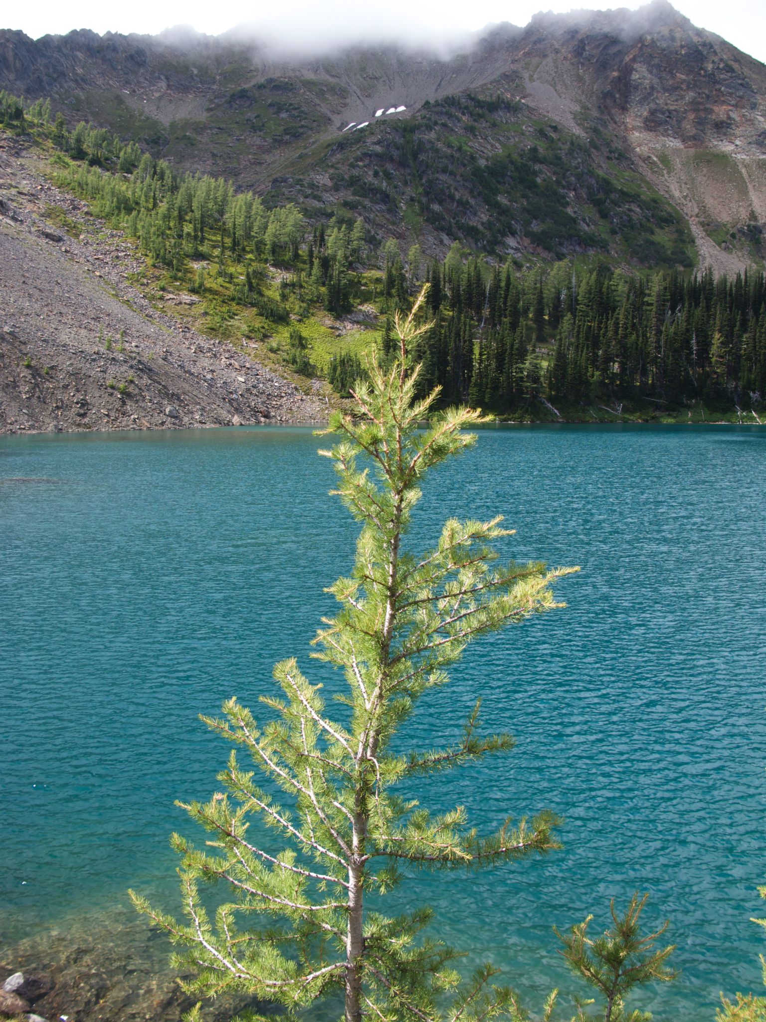 A small evergreen tree in front of a bright blue lake and mountains. - Larch Lakes Loop via Entiat River Trail