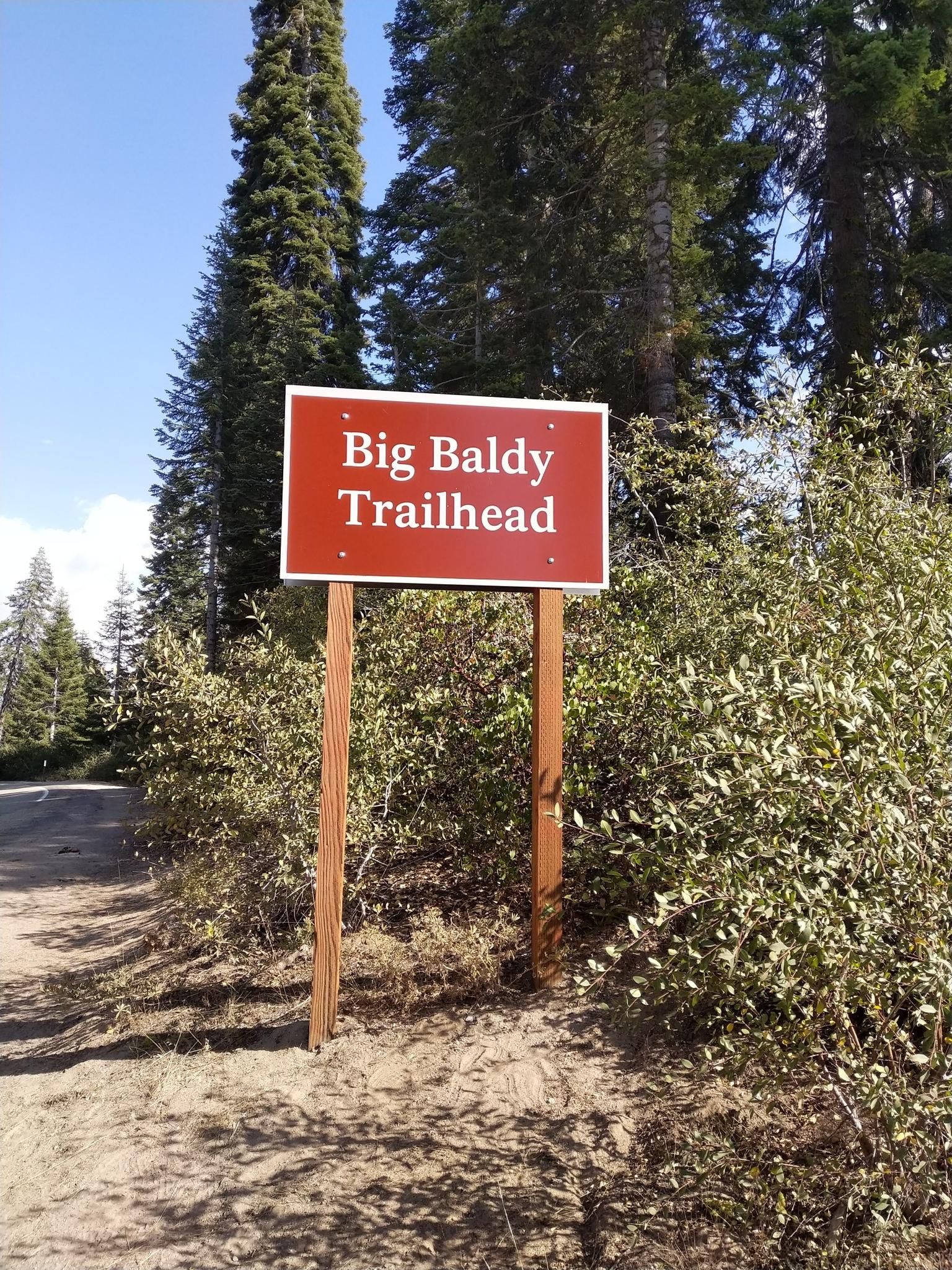 Red trailhead sign in a sunny forest clearing with tall trees. - Kings Canyon Overlook to Lost Grove via Generals Highway