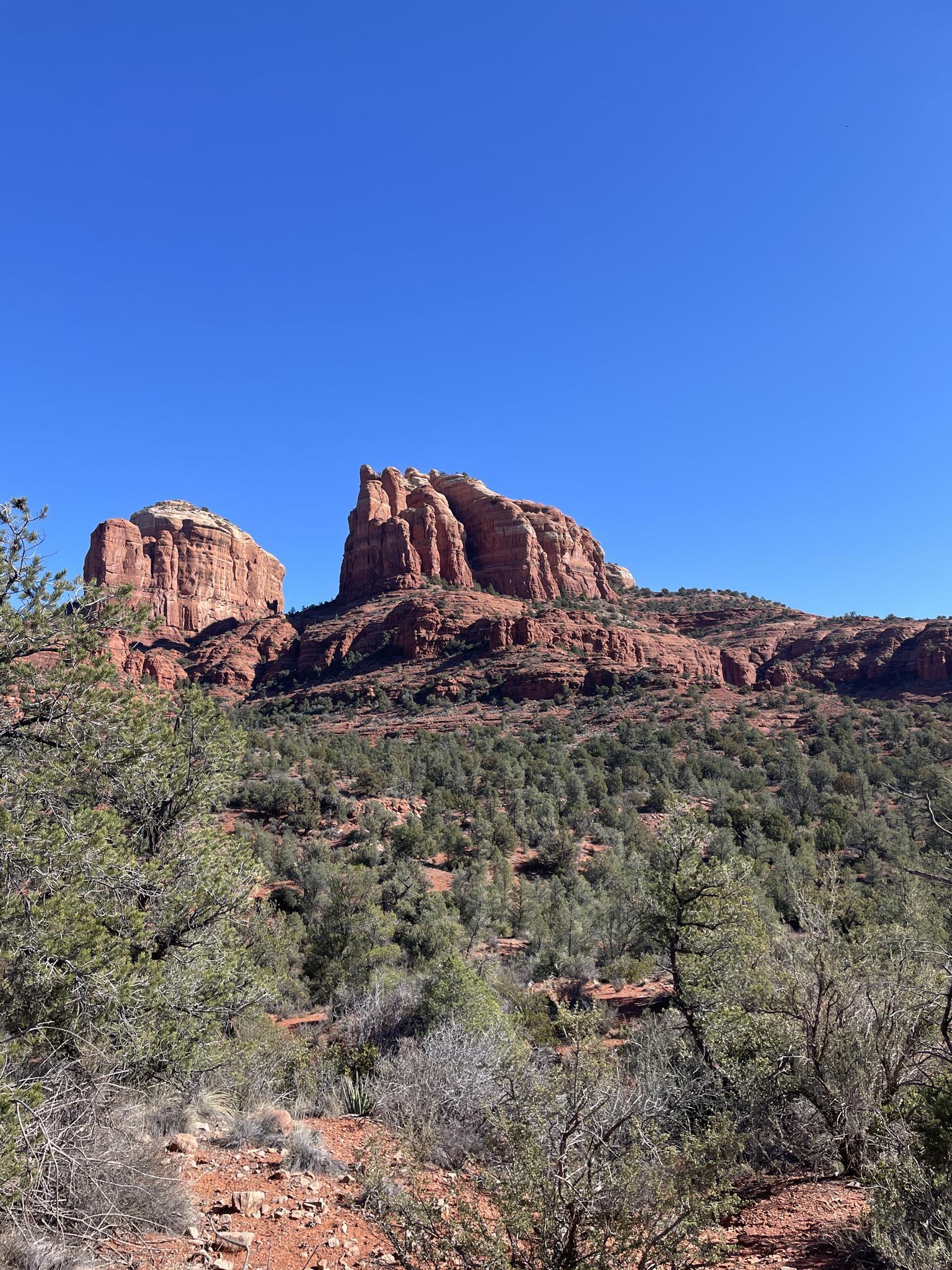 Distant red rock formations and green scrub brush under a bright blue sky.