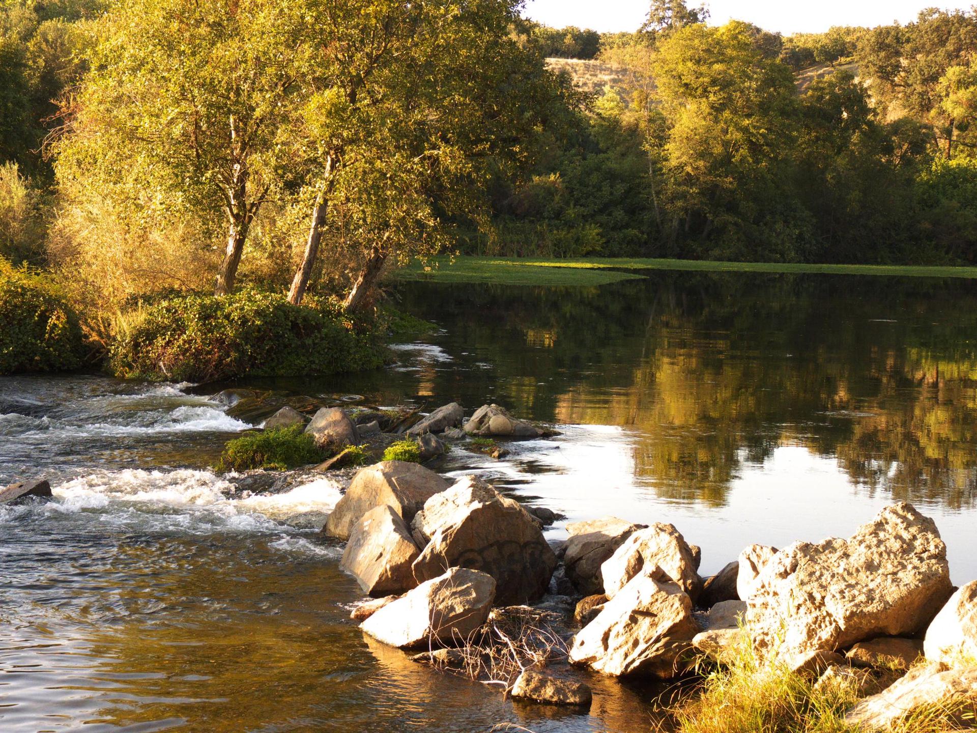 Golden hour light on a flowing river with rocks and lush green trees.