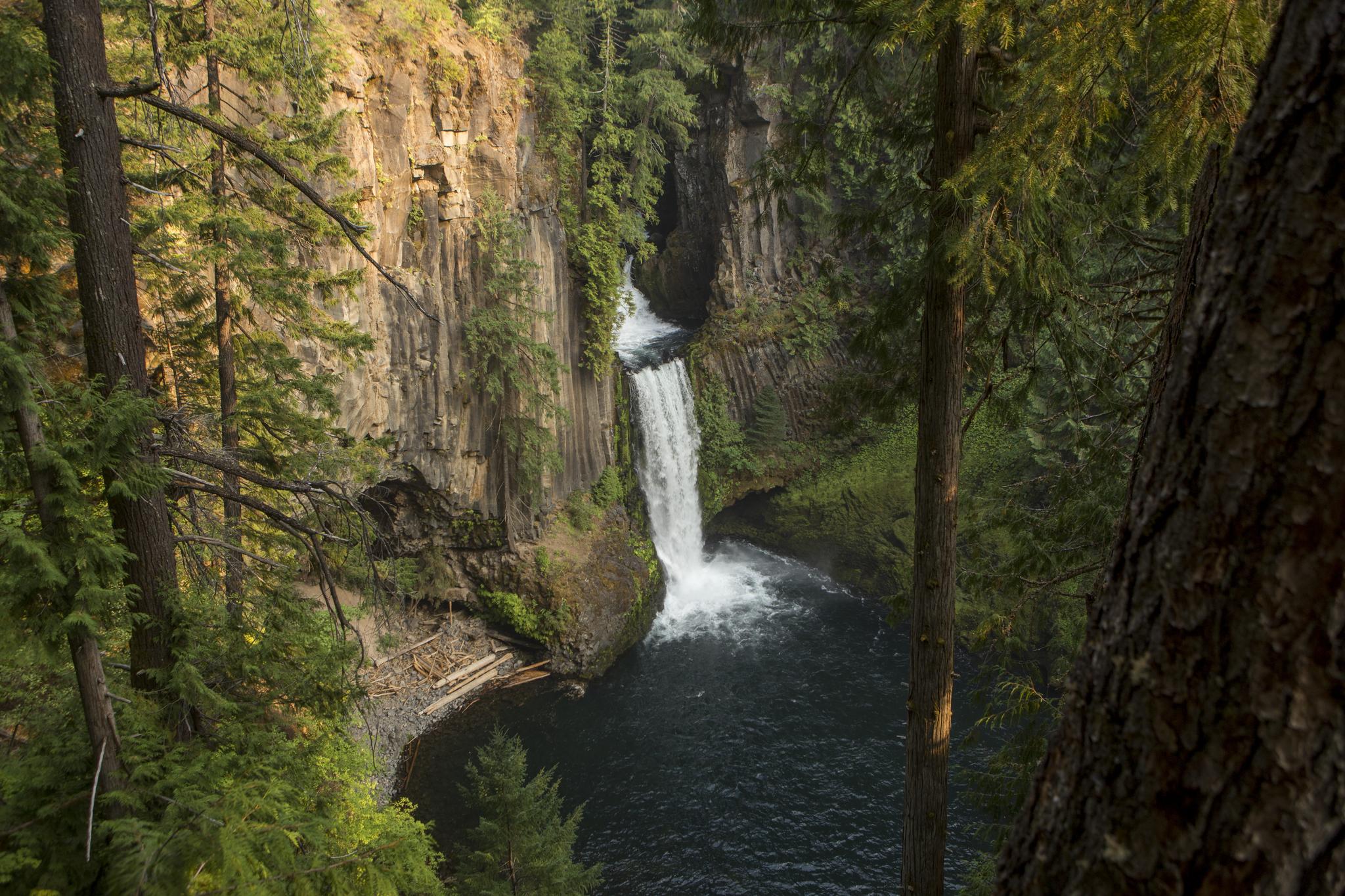 Powerful waterfall plunges into a deep, forested canyon under warm sunlight.