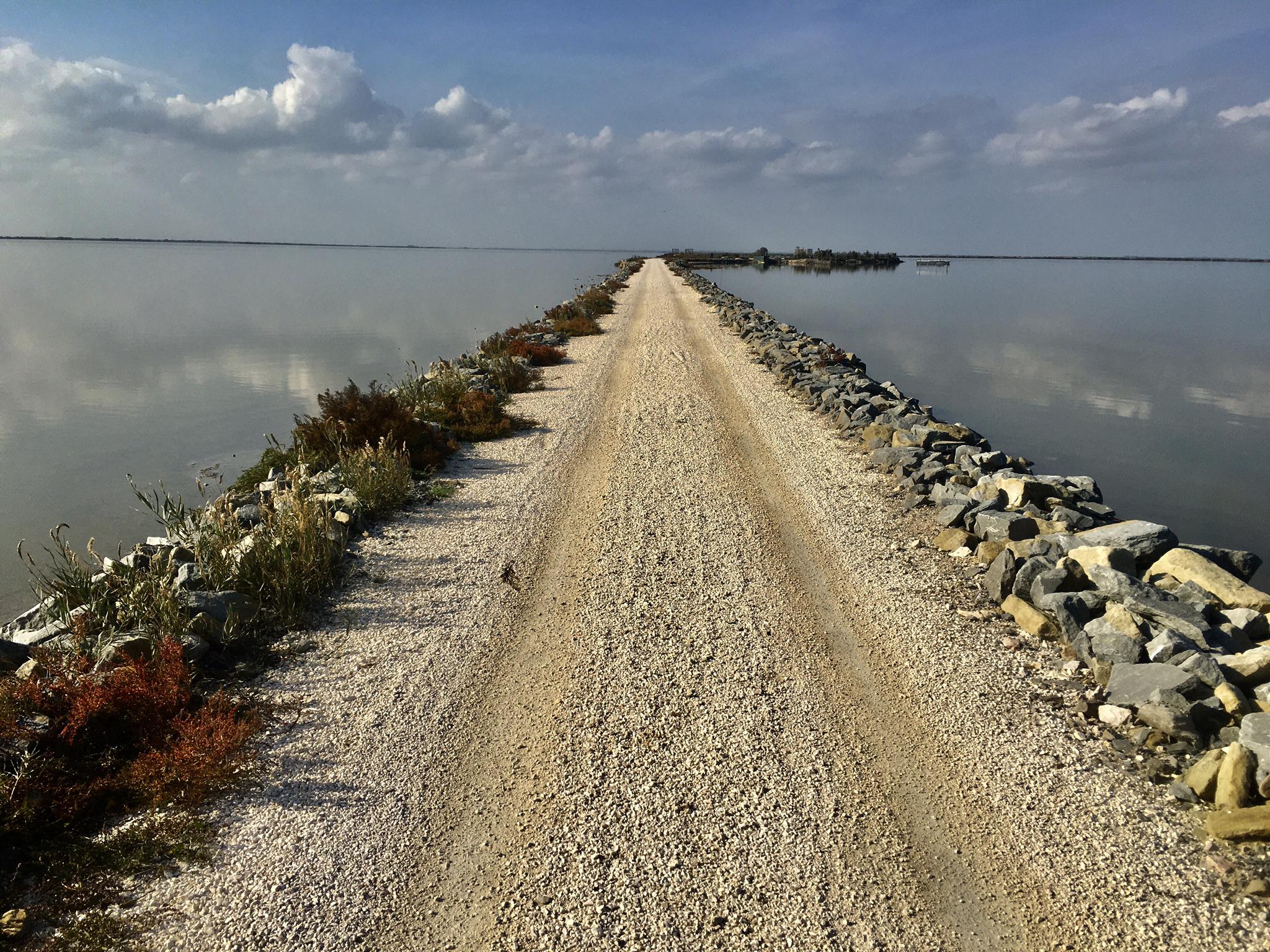 Questa avventura ci porterà in un viaggio attraverso la natura, la storia e le sorprese che solo l'unico delta d'Italia può offrire.