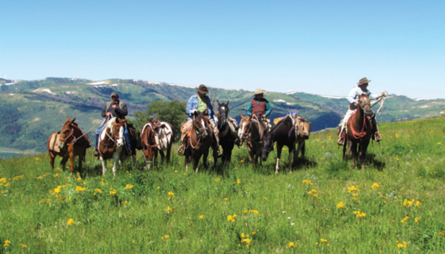 People on horseback and mules in a sunny, flower-filled mountain meadow.