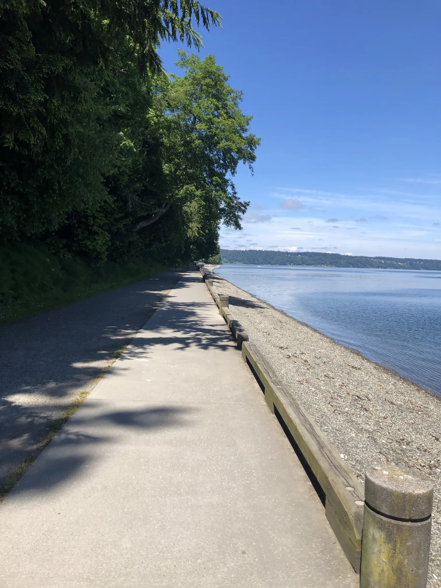 Sunny paved path alongside calm water with trees and a distant shore.