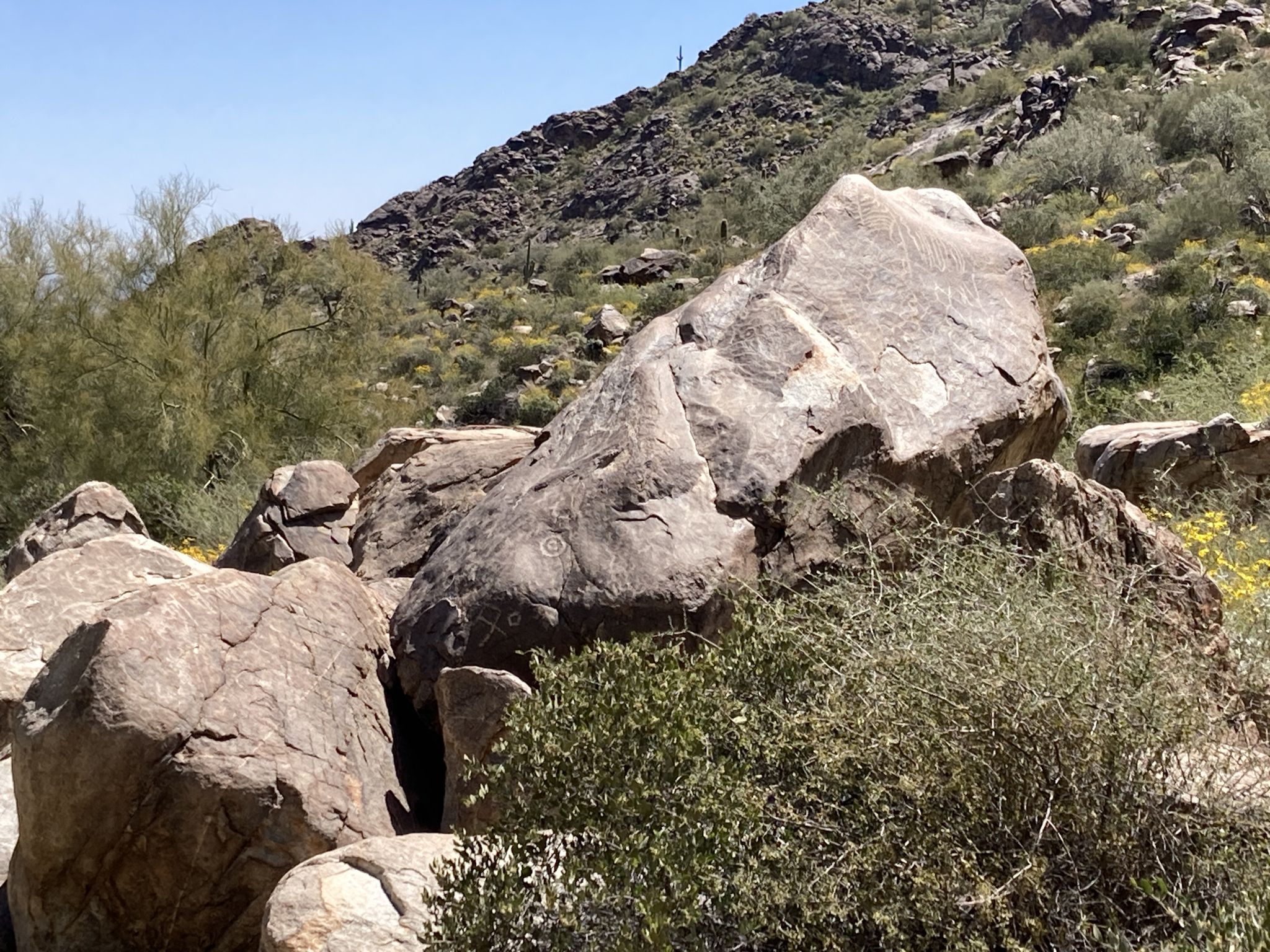 Large boulders with ancient carvings in a sunny, rocky desert landscape. - Waterfall and Black Rock Long Loop