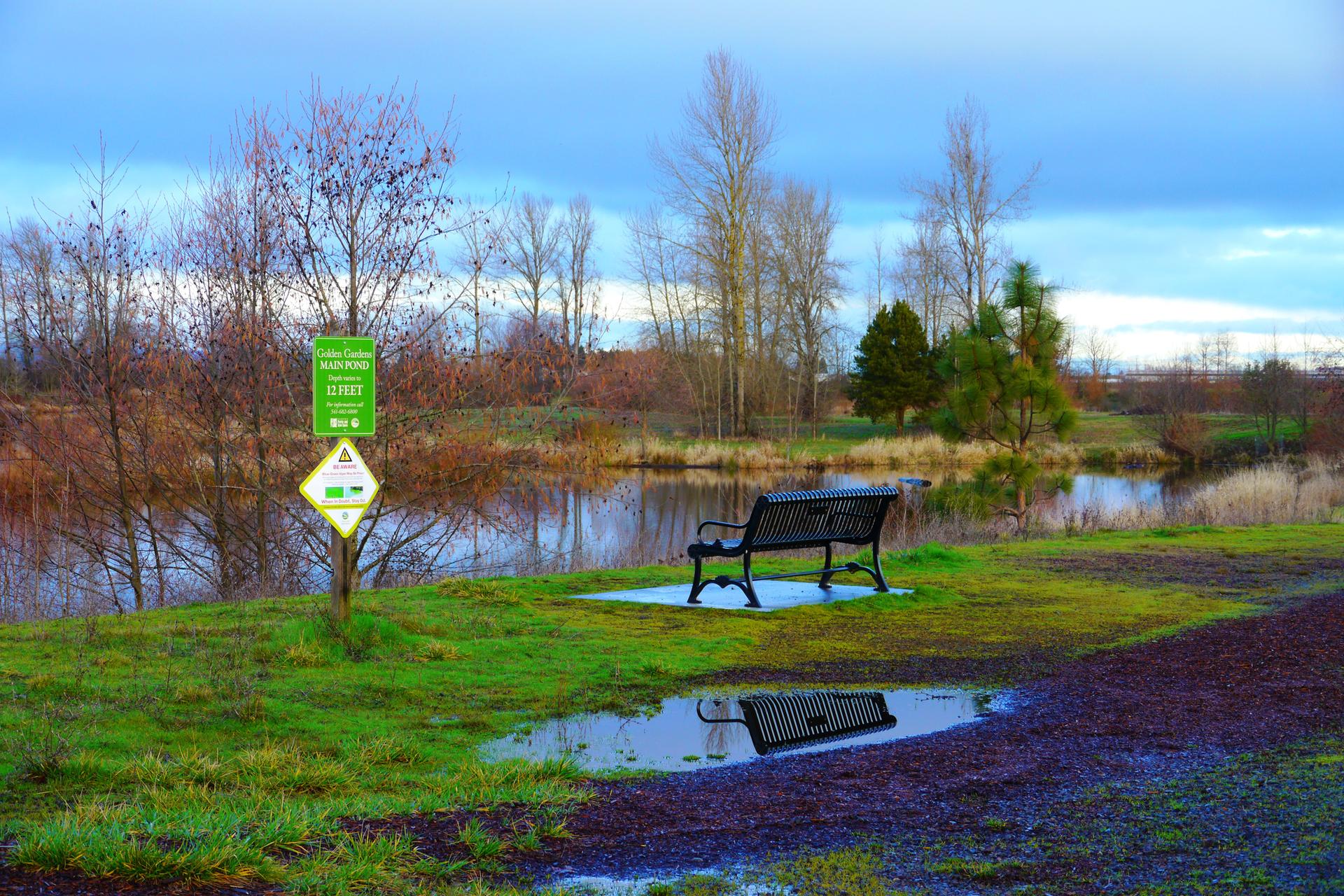 A park bench and sign by a pond, with bare trees and puddles.