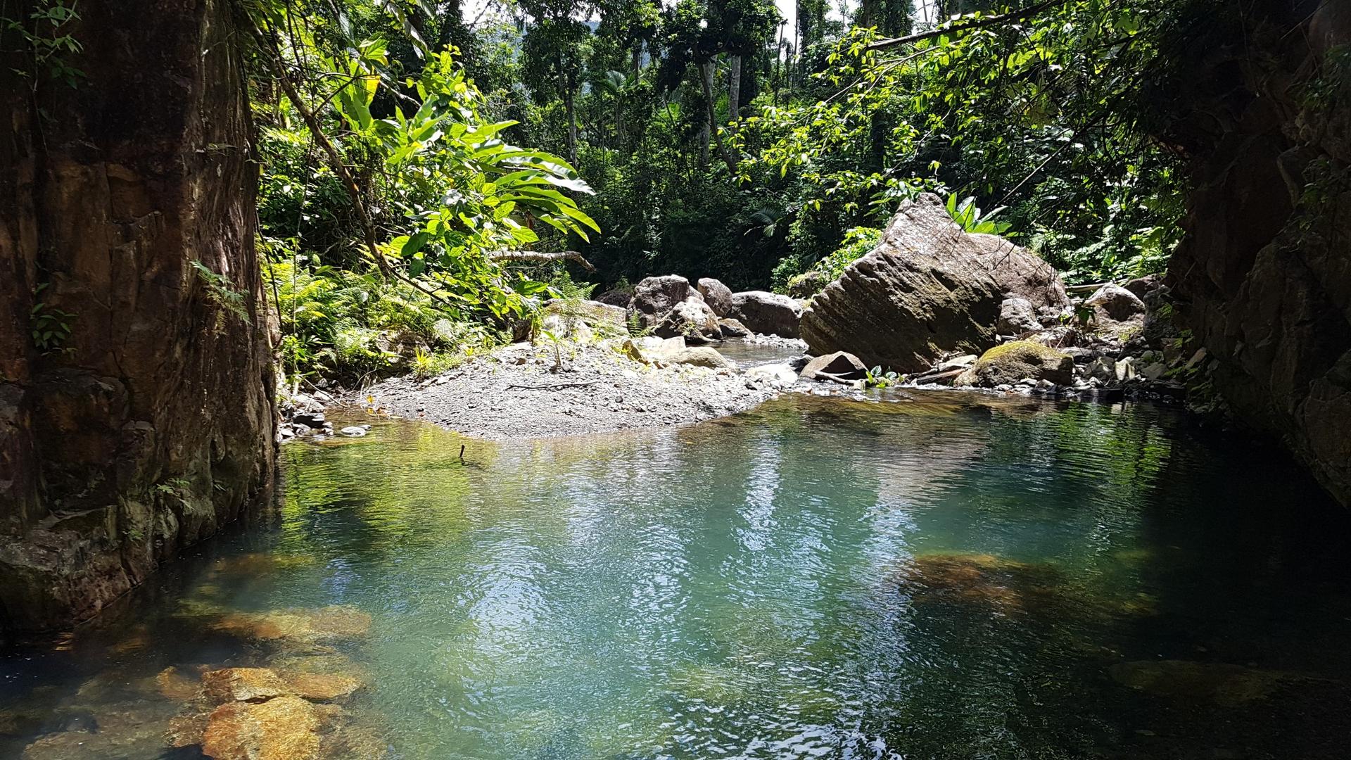 A tranquil, clear pool surrounded by large rocks and dense jungle foliage.