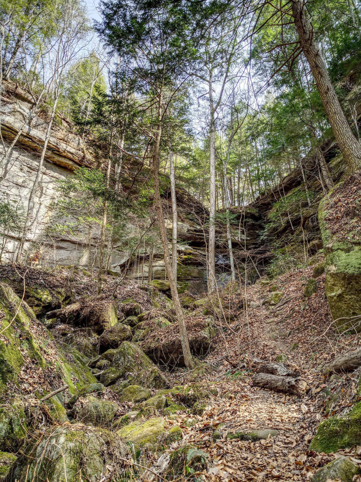 Deep, rocky gorge with tall trees and moss-covered boulders.