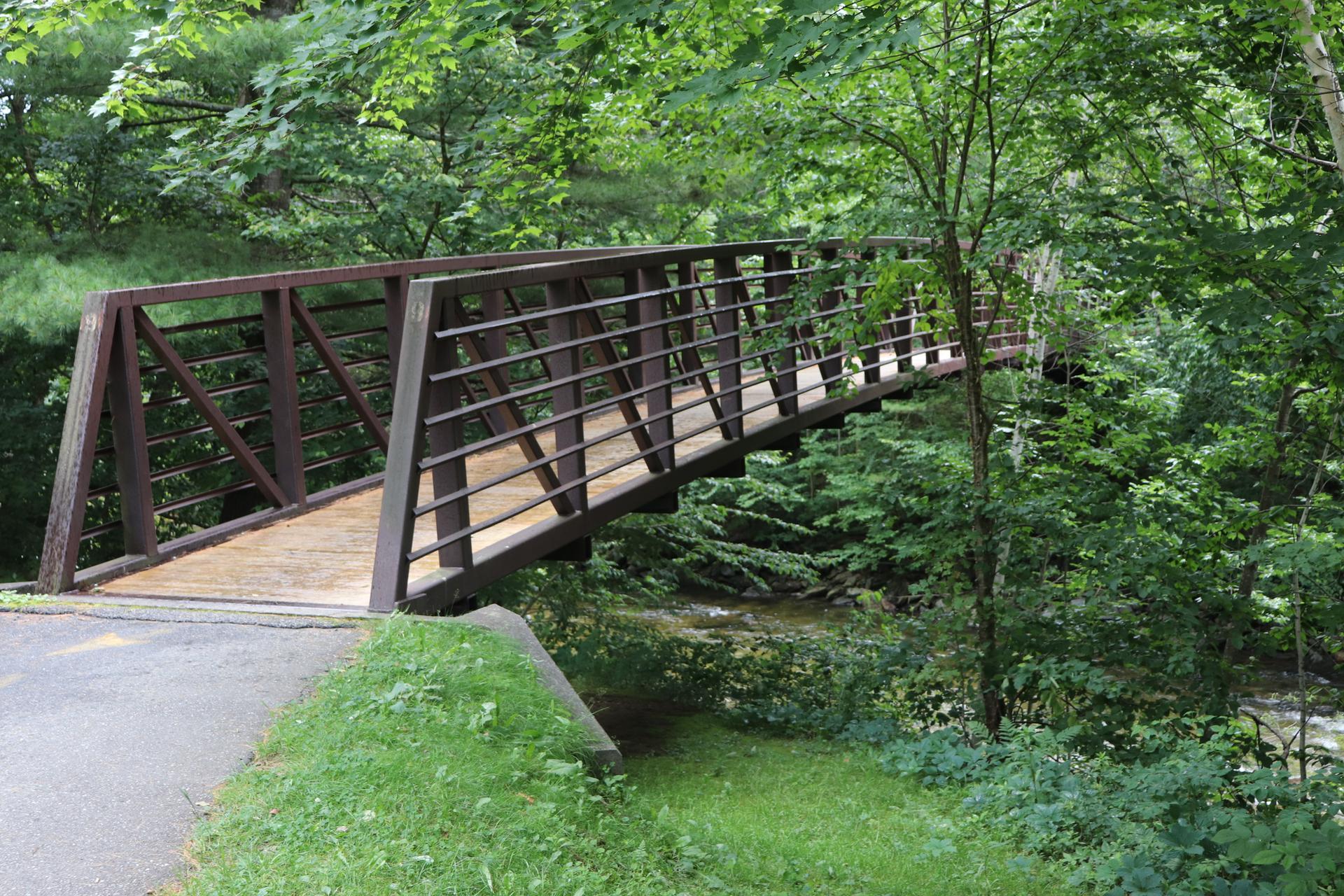 A brown metal bridge spans a stream in a dense green forest.