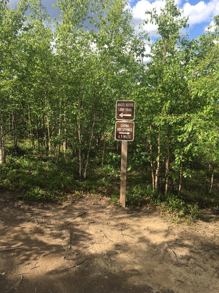 A brown trail sign on a dirt path surrounded by bright green trees.