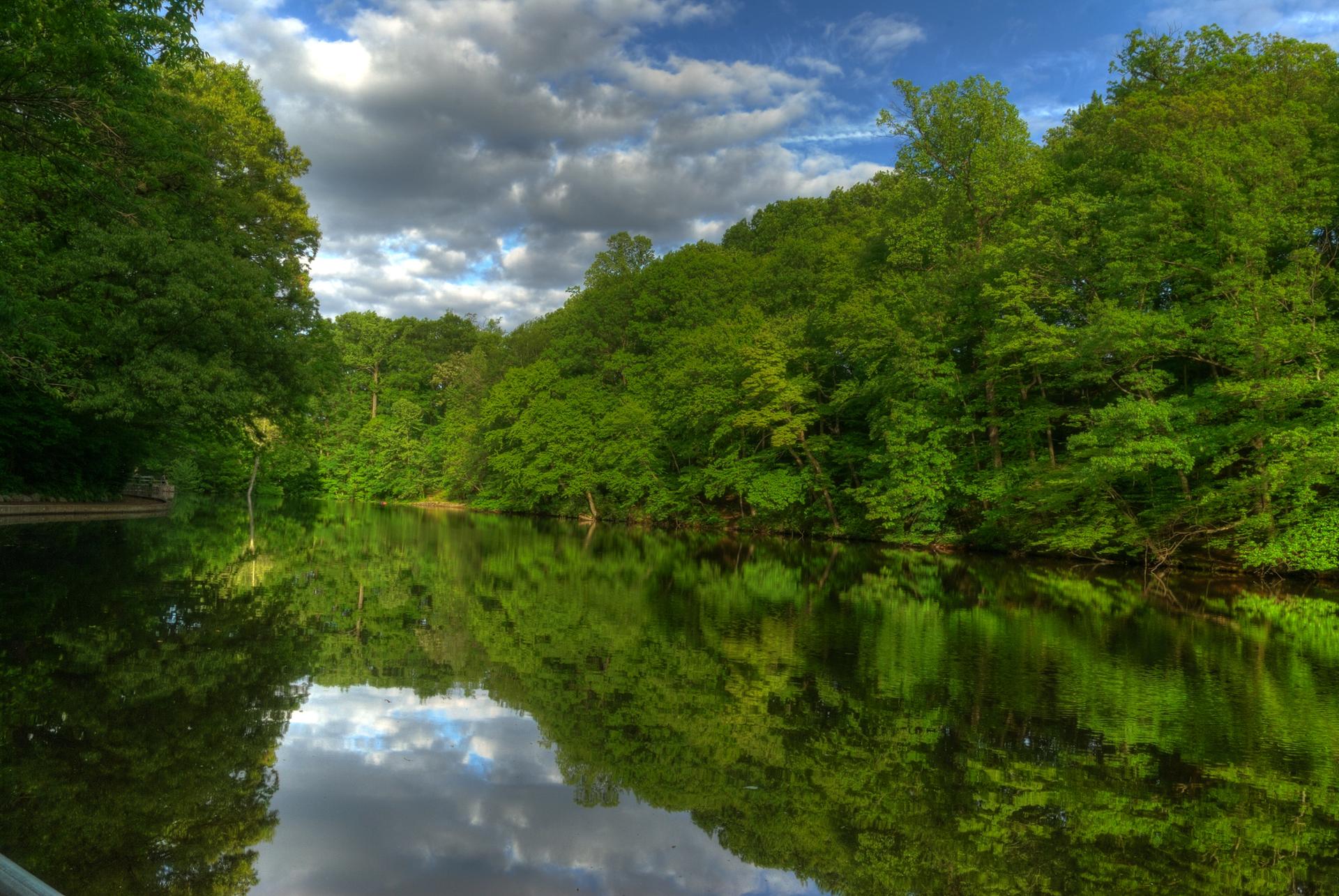 A calm river reflects lush green trees and a cloudy blue sky.