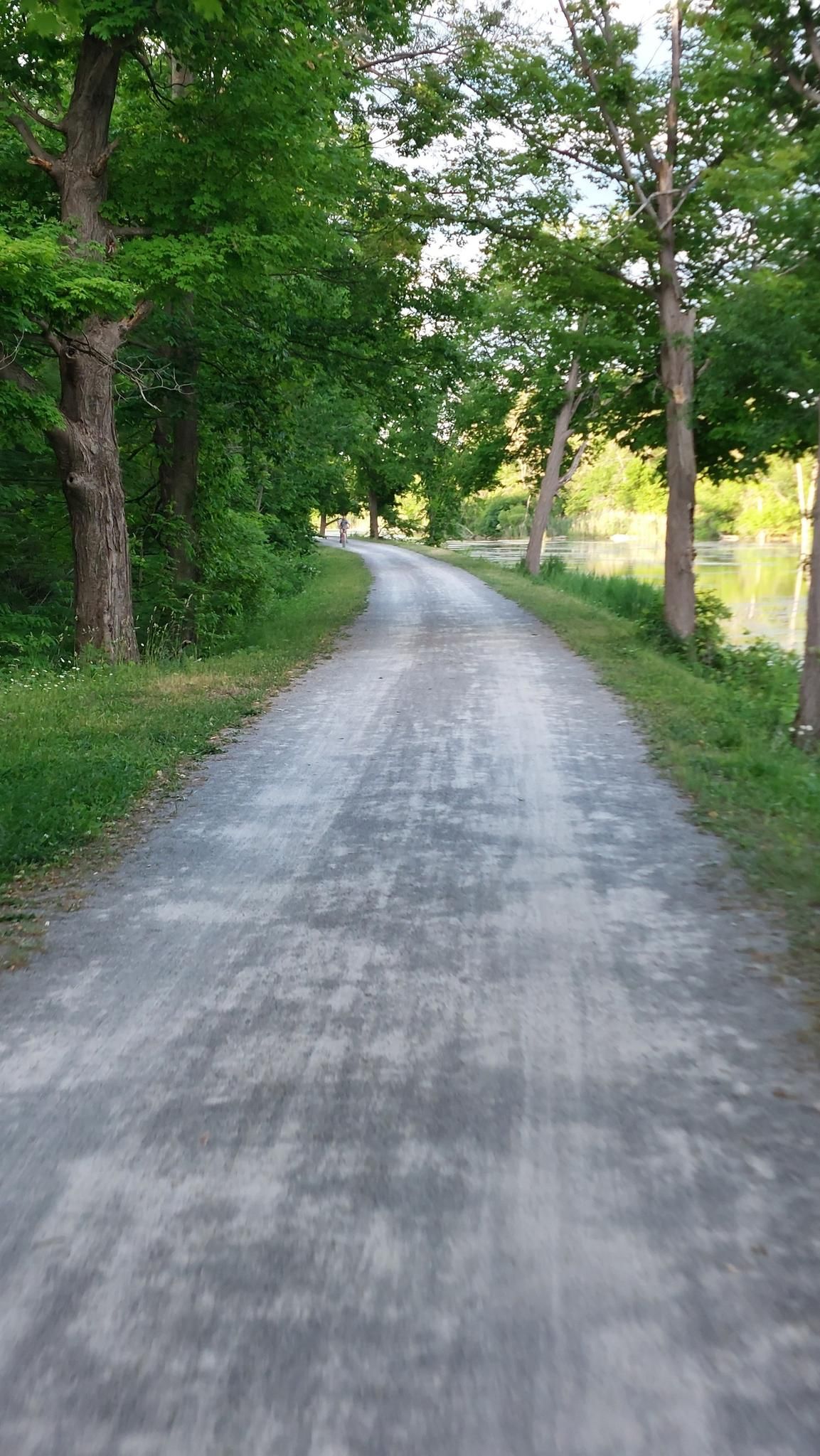 Gravel path winding through a tunnel of green trees, bright light ahead. - Erie Canalway Trail loop from Green Lakes State Park