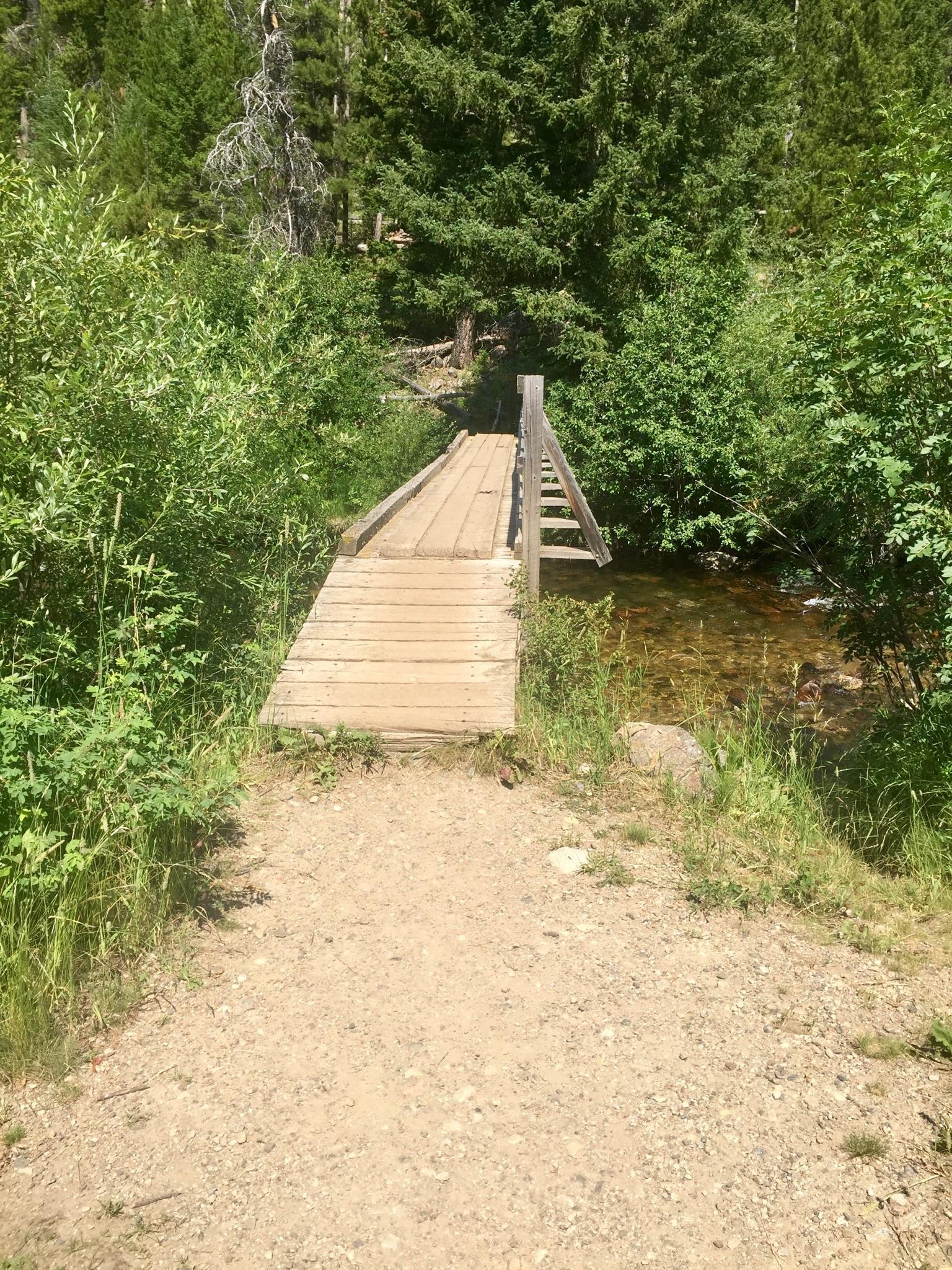 Sunny view of a wooden footbridge over a stream, surrounded by green forest.