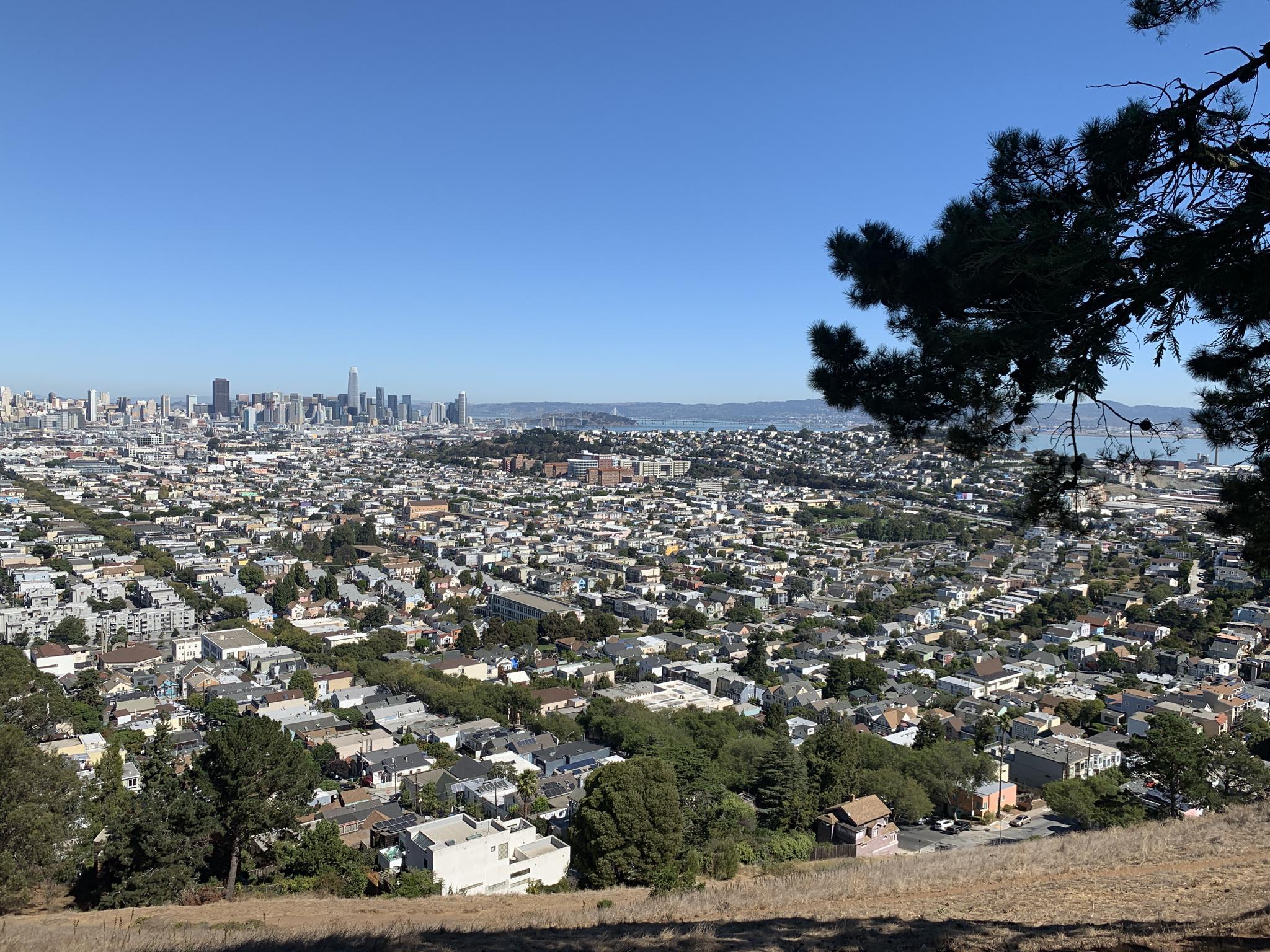 Sunny panoramic view of a sprawling city and distant bay from a hill.