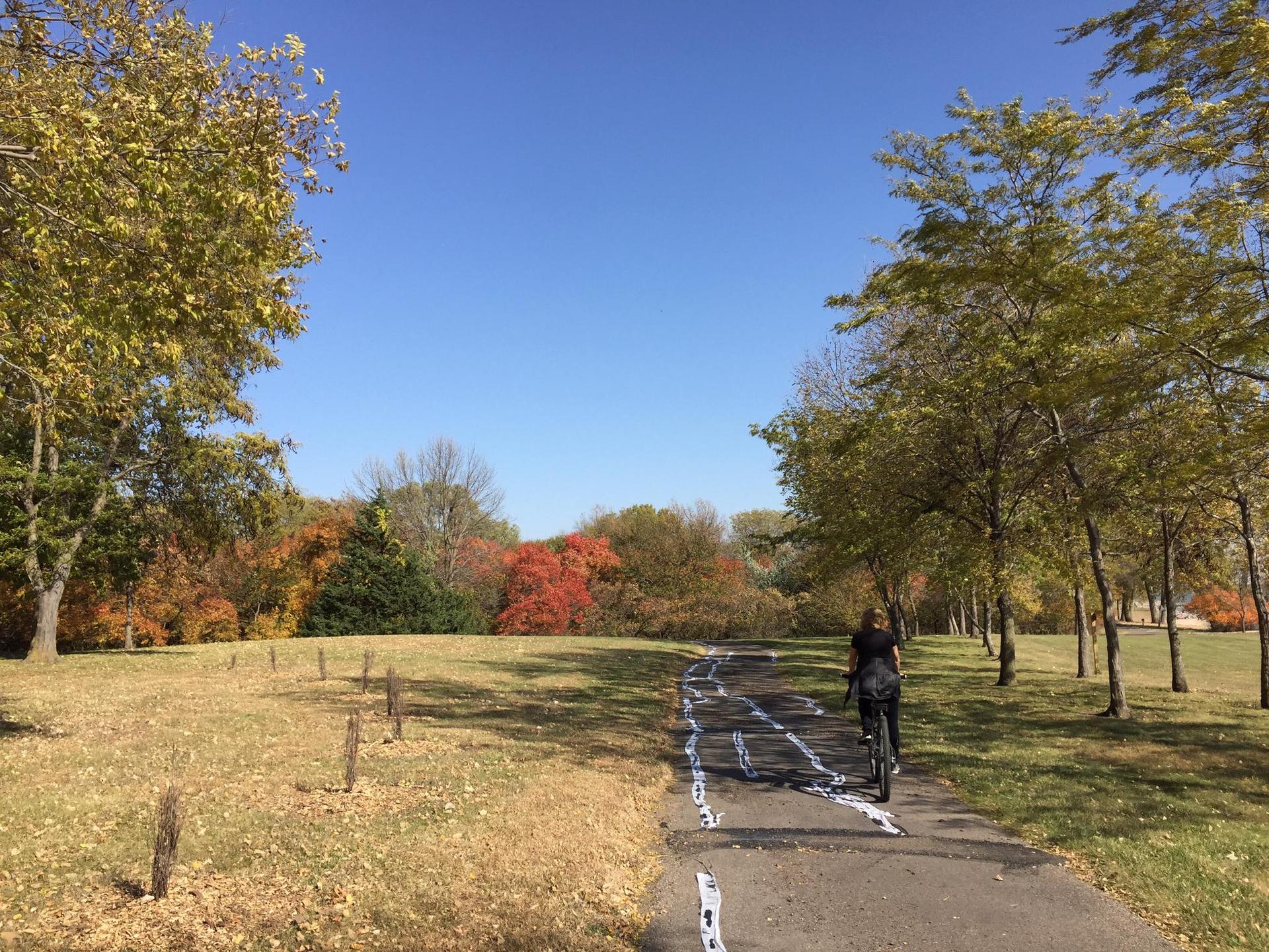 Person cycling on a paved path through a park with colorful autumn trees.