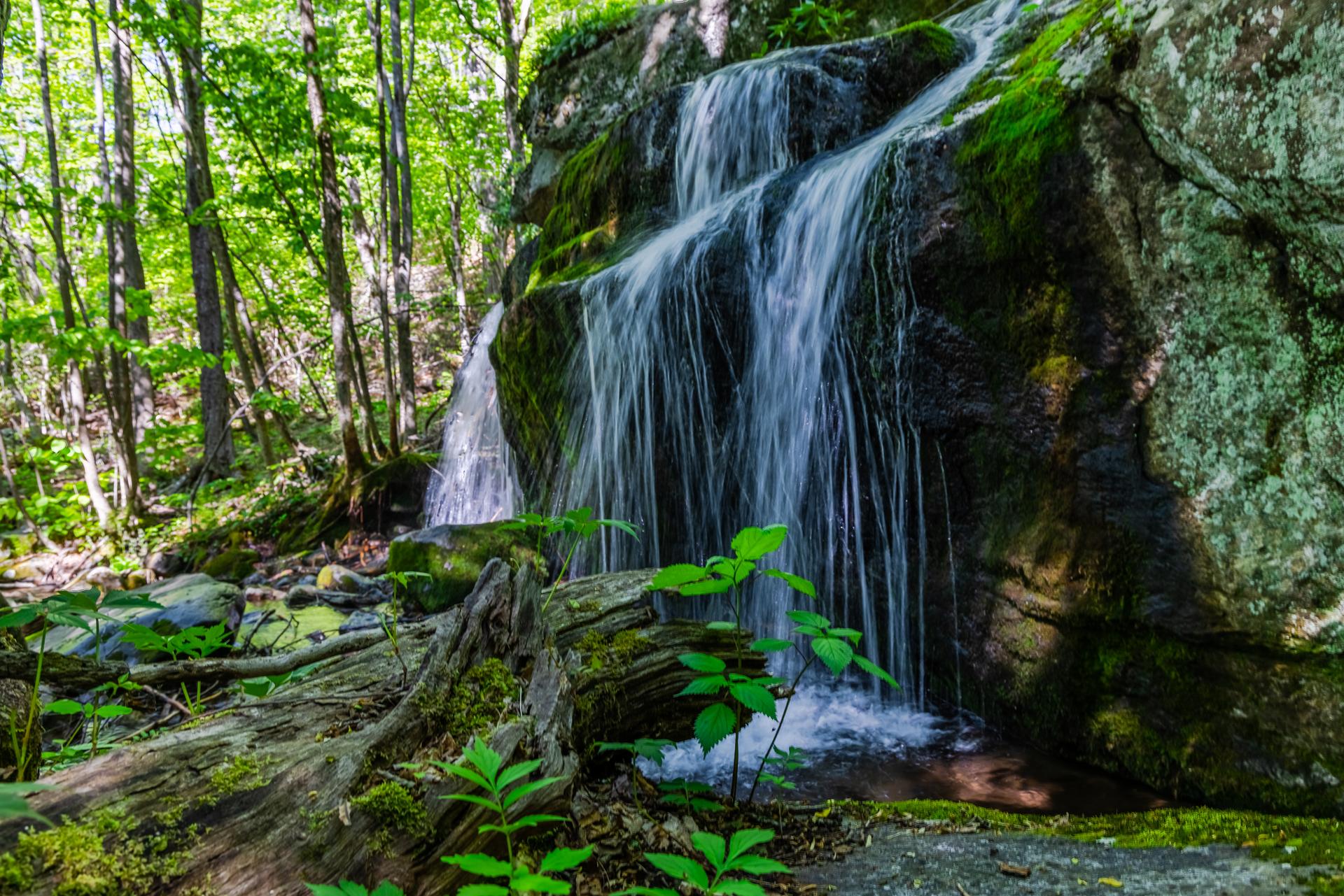 A beautiful waterfall flows over moss-covered rocks in a sunlit, vibrant forest.