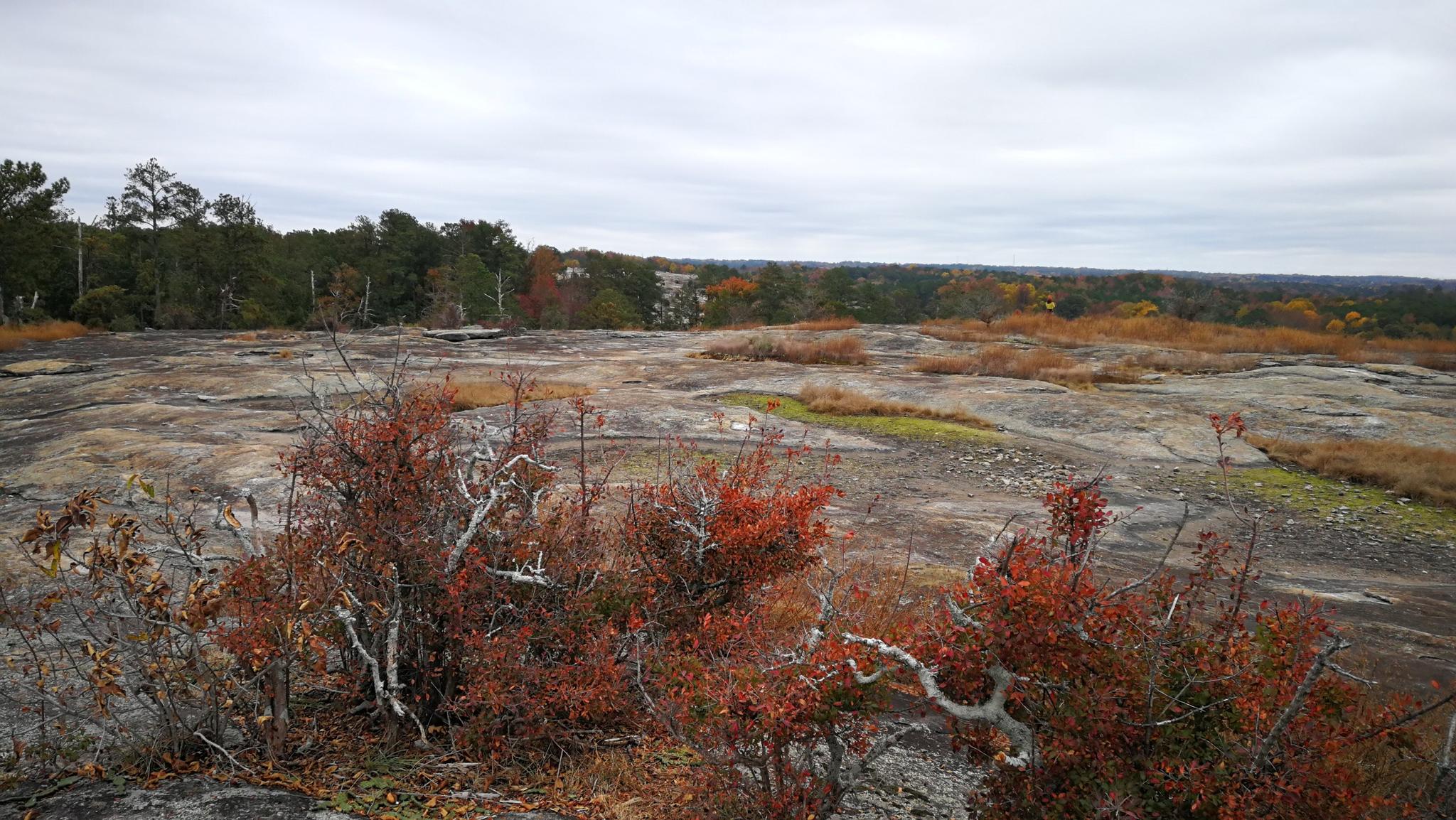 Expansive rocky landscape with scattered red and brown vegetation under an overcast sky.