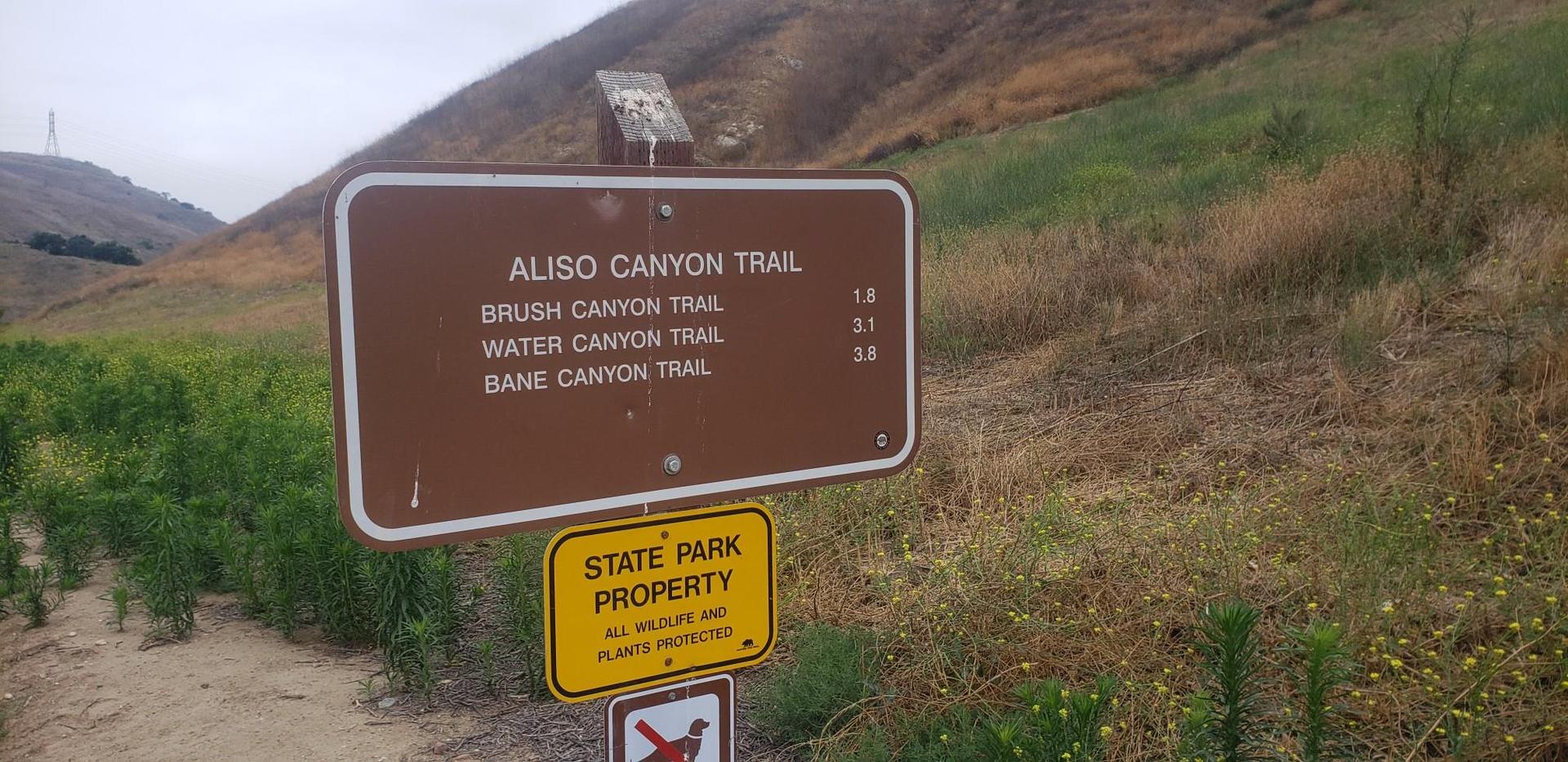 Brown trail sign on a dirt path next to a grassy hillside.