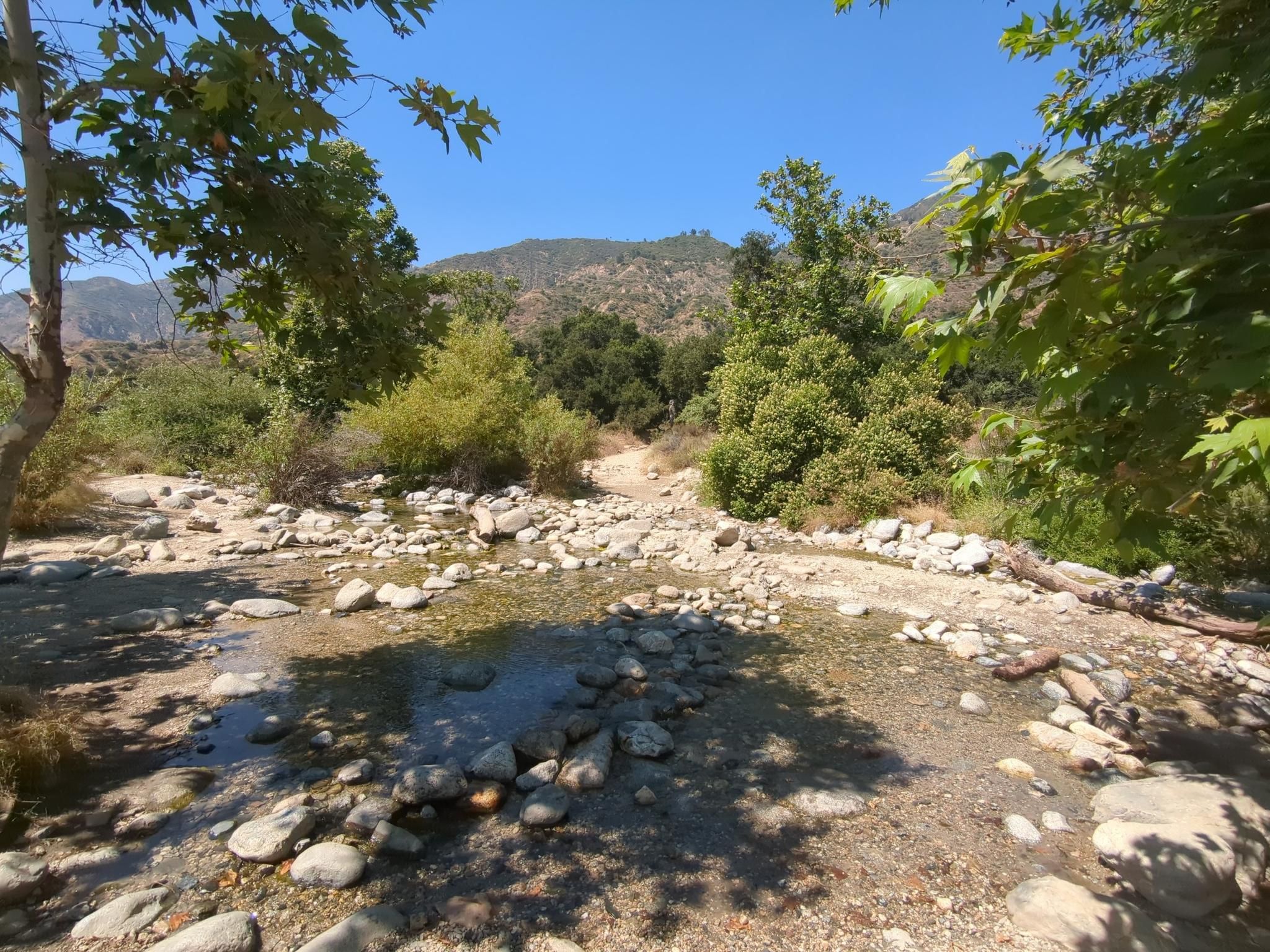 Wide view of a shallow, rocky stream with green trees and distant mountains. - Eaton Canyon Trail
