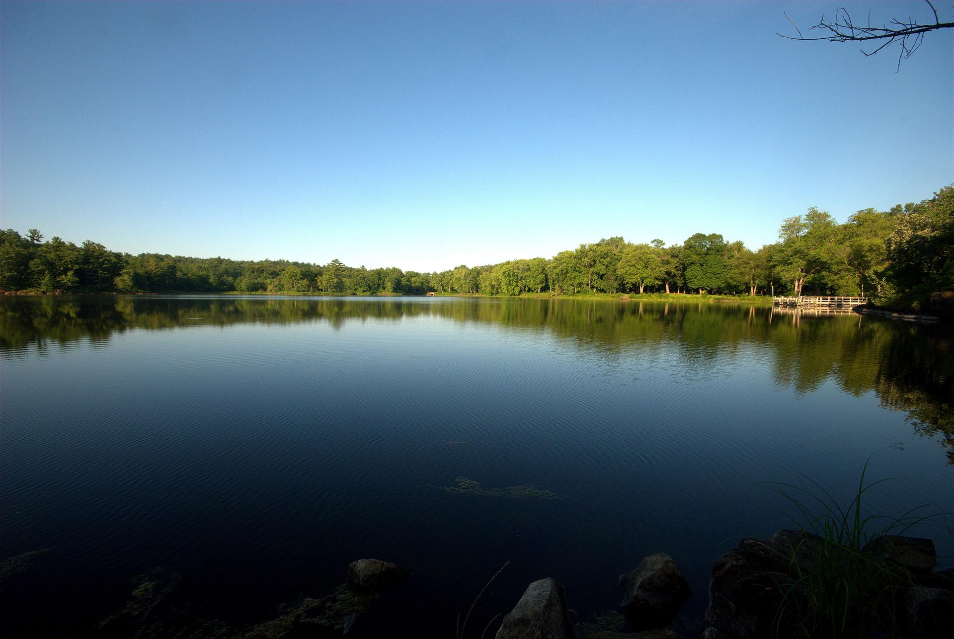 Calm lake reflecting a clear blue sky and distant green forest.