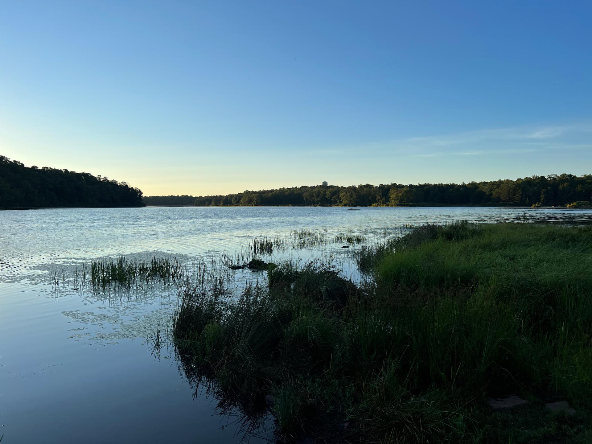 Calm lake at dusk or dawn with tall grass in the foreground.