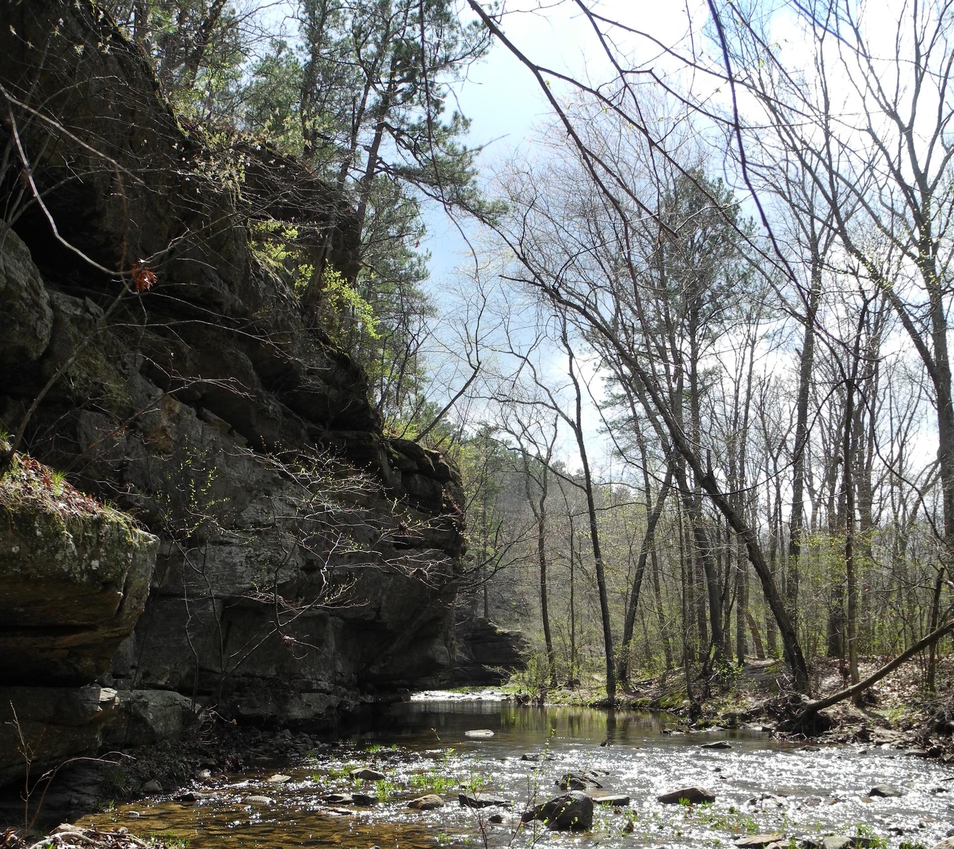 A large rocky cliff overhangs a flowing stream in a sunny, wooded area.