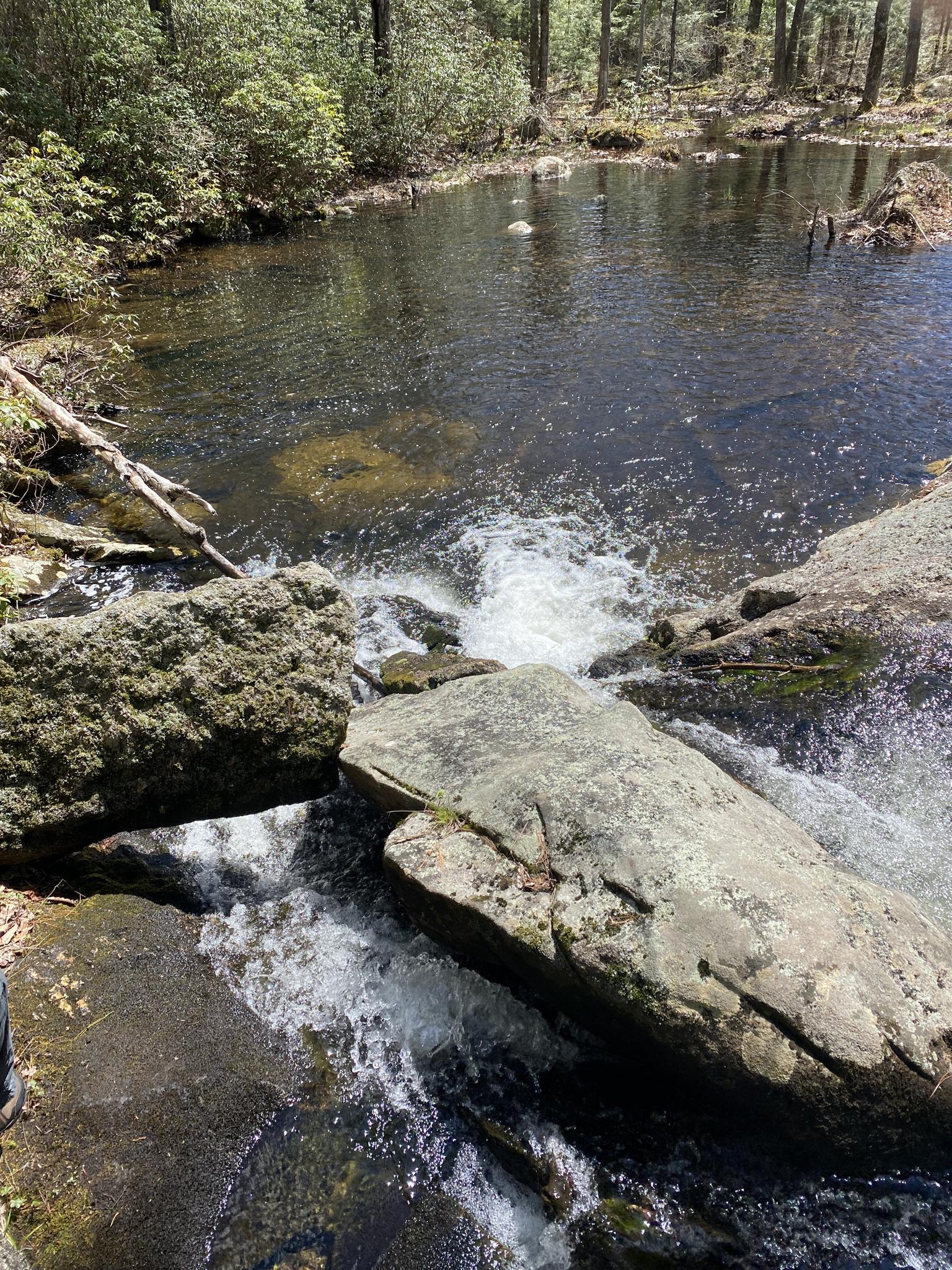 Water flows over large rocks into a calm pool in a sunny forest.