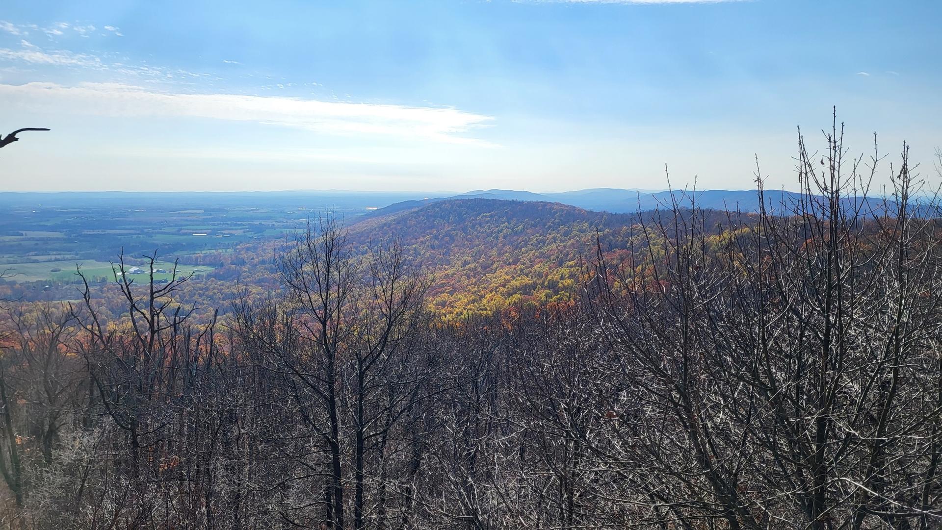 Sunny mountain vista with bare trees and hills displaying autumn colors.