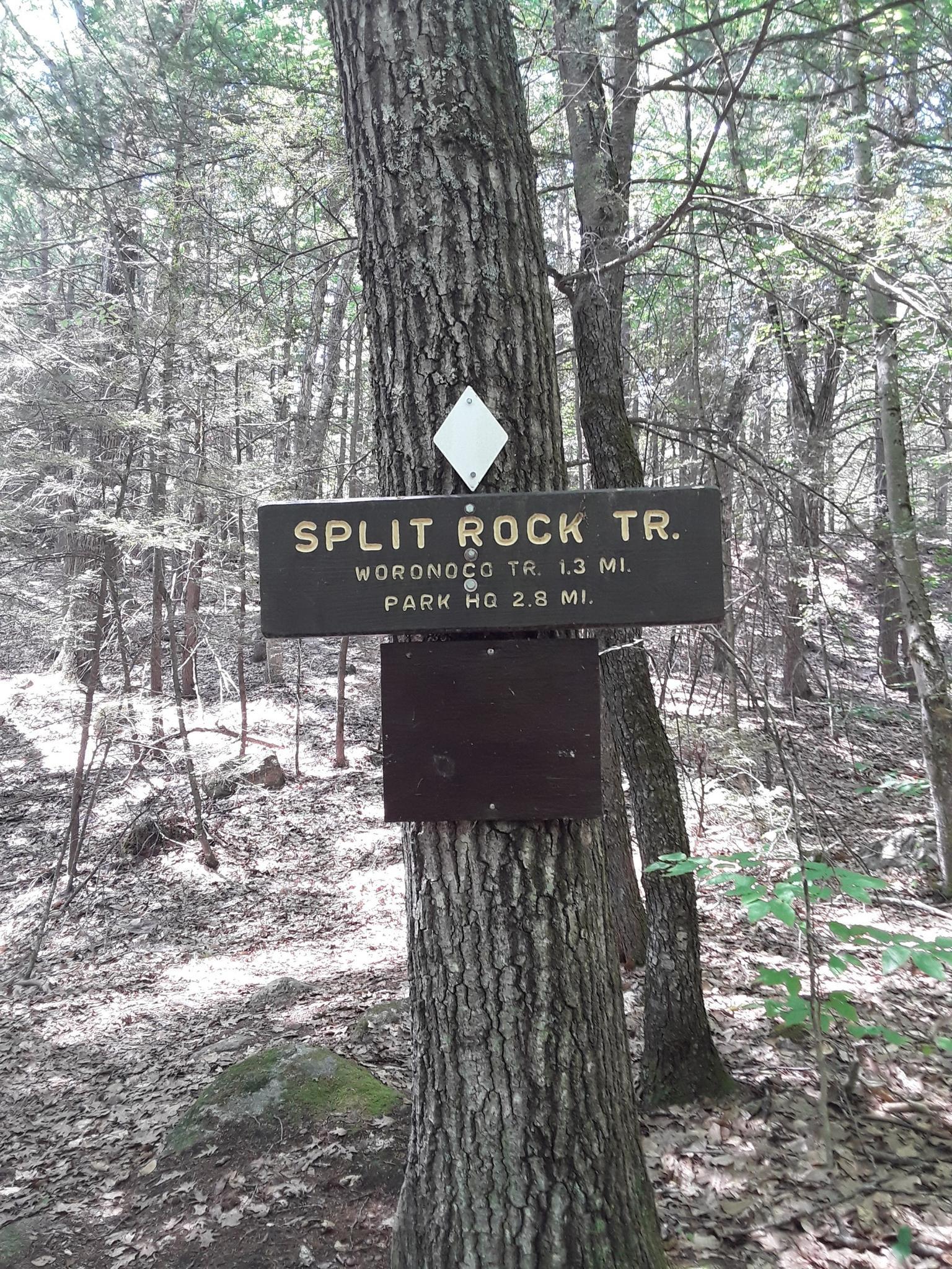 A wooden trail sign is attached to a tree in a sun-dappled forest.