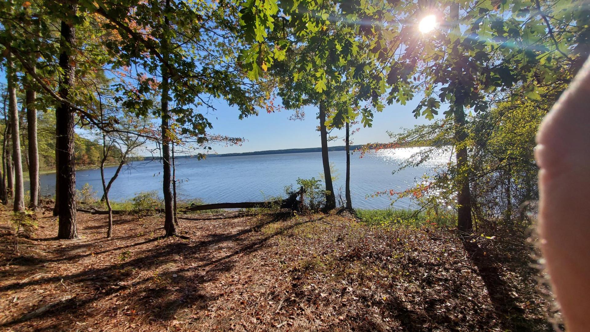 Bright sun shines over a calm lake, framed by trees and long shadows.