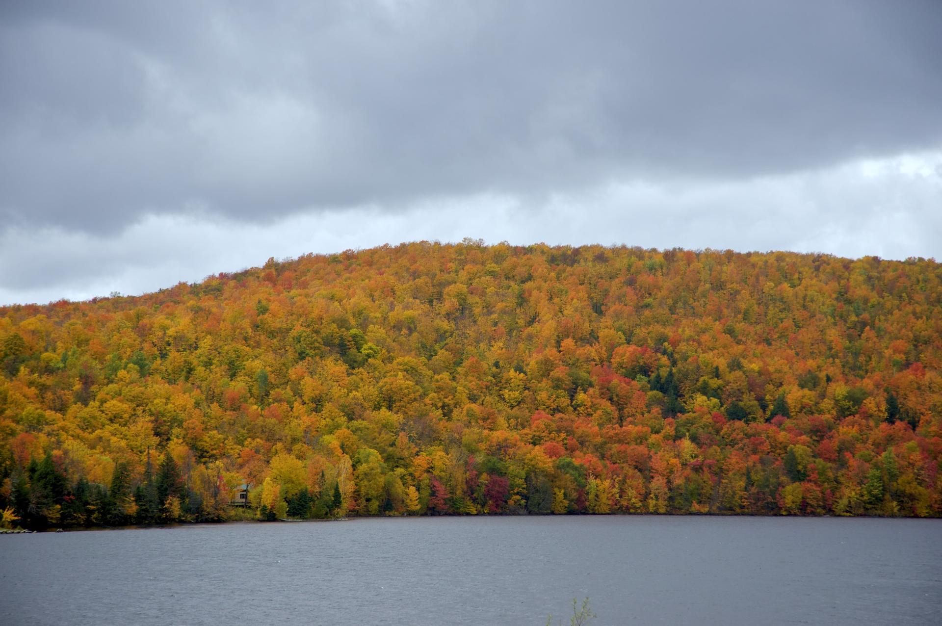Lake reflecting a vibrant autumn forest under a cloudy sky.